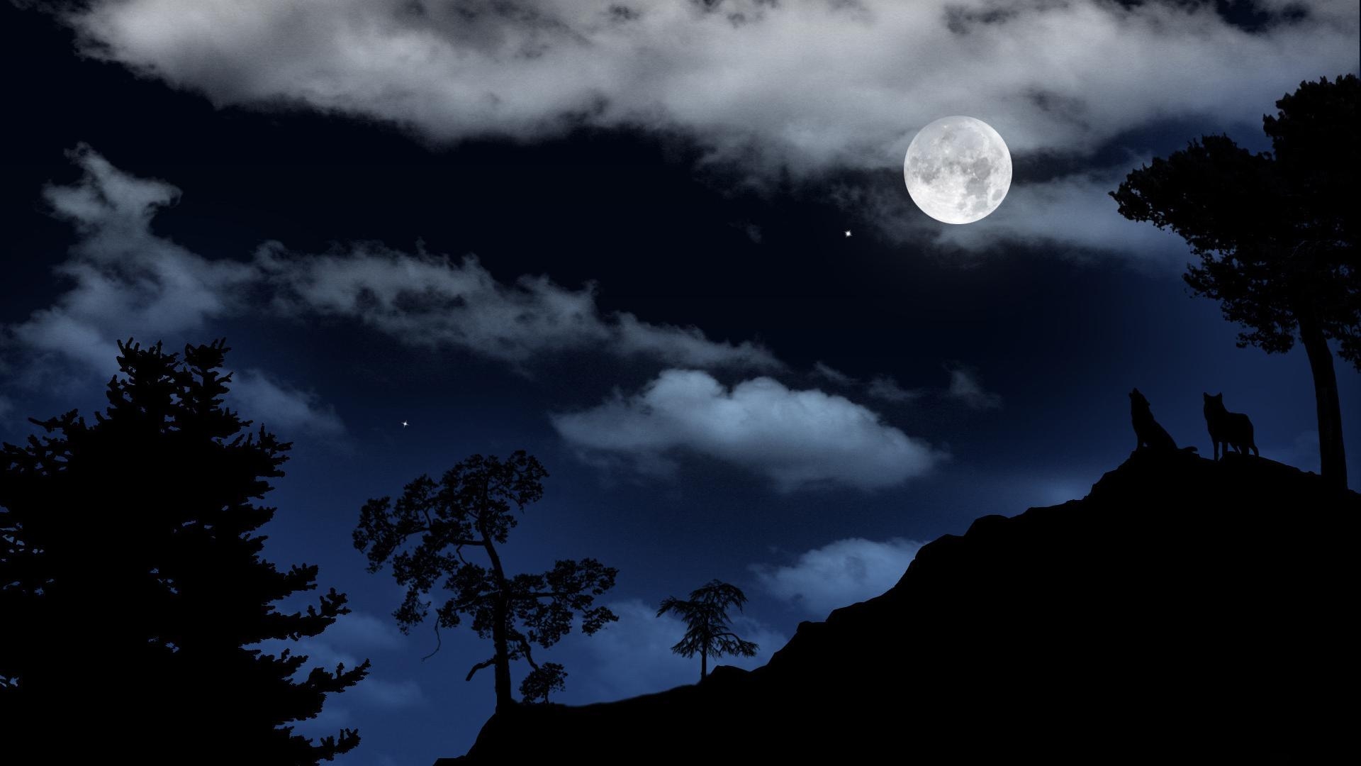 1920x1080 Wolf Howling At Full Moon HD, Desktop