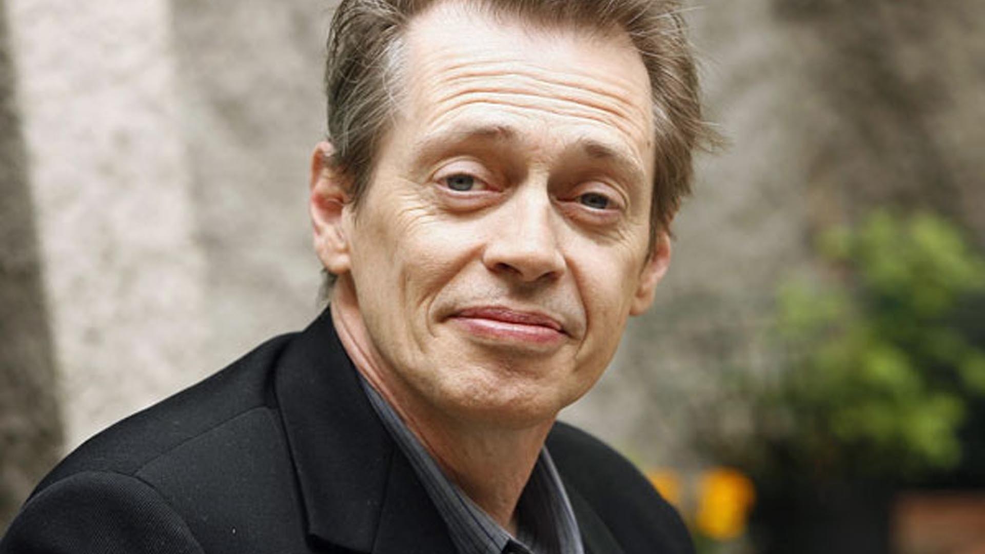 1920x1080 Steve Buscemi Wallpaper 2 X 1080, Desktop