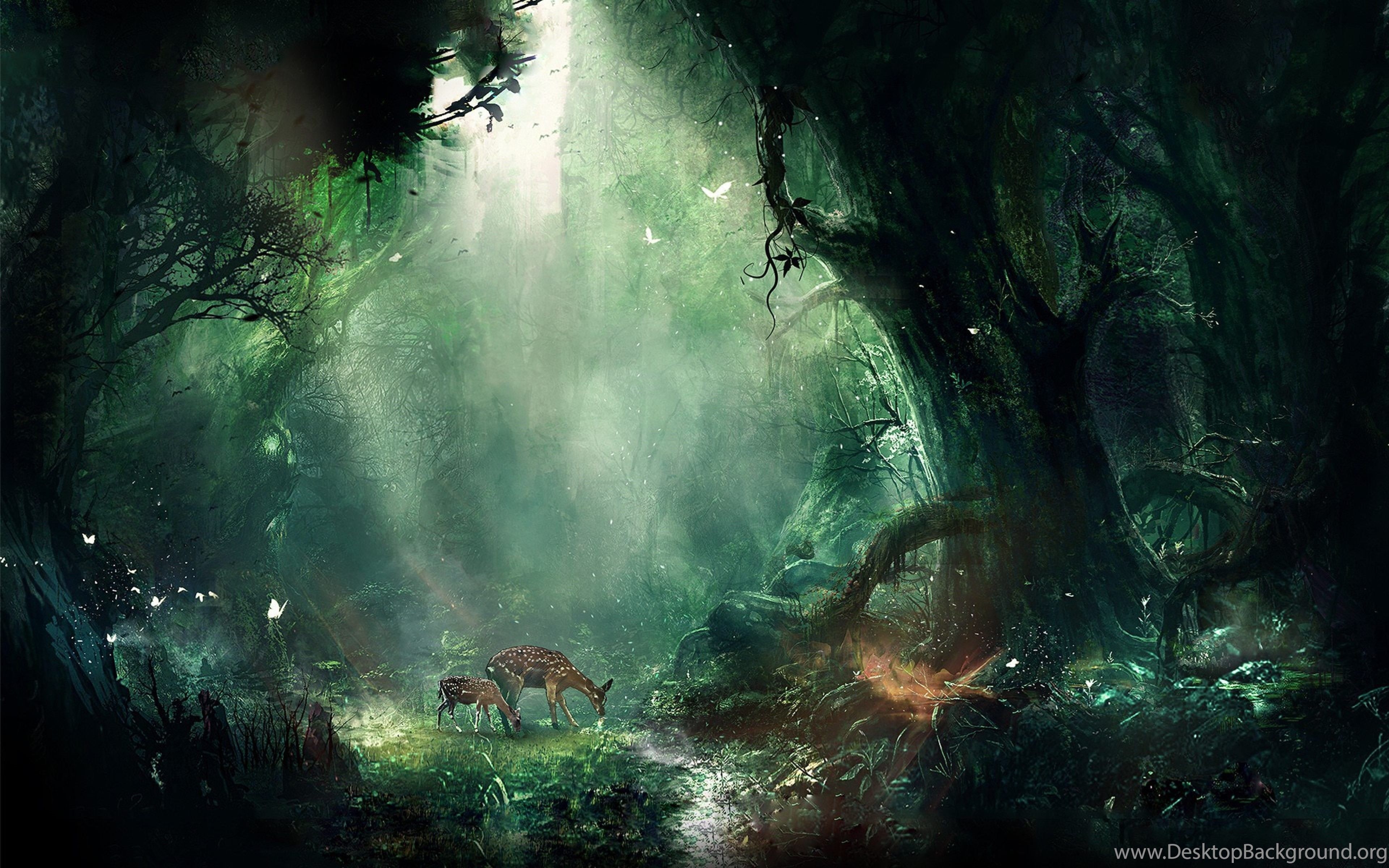 3840x2400 Fantasy Forest Ultra HD 4K Wallpaper Download High Quality Desktop Background, Desktop