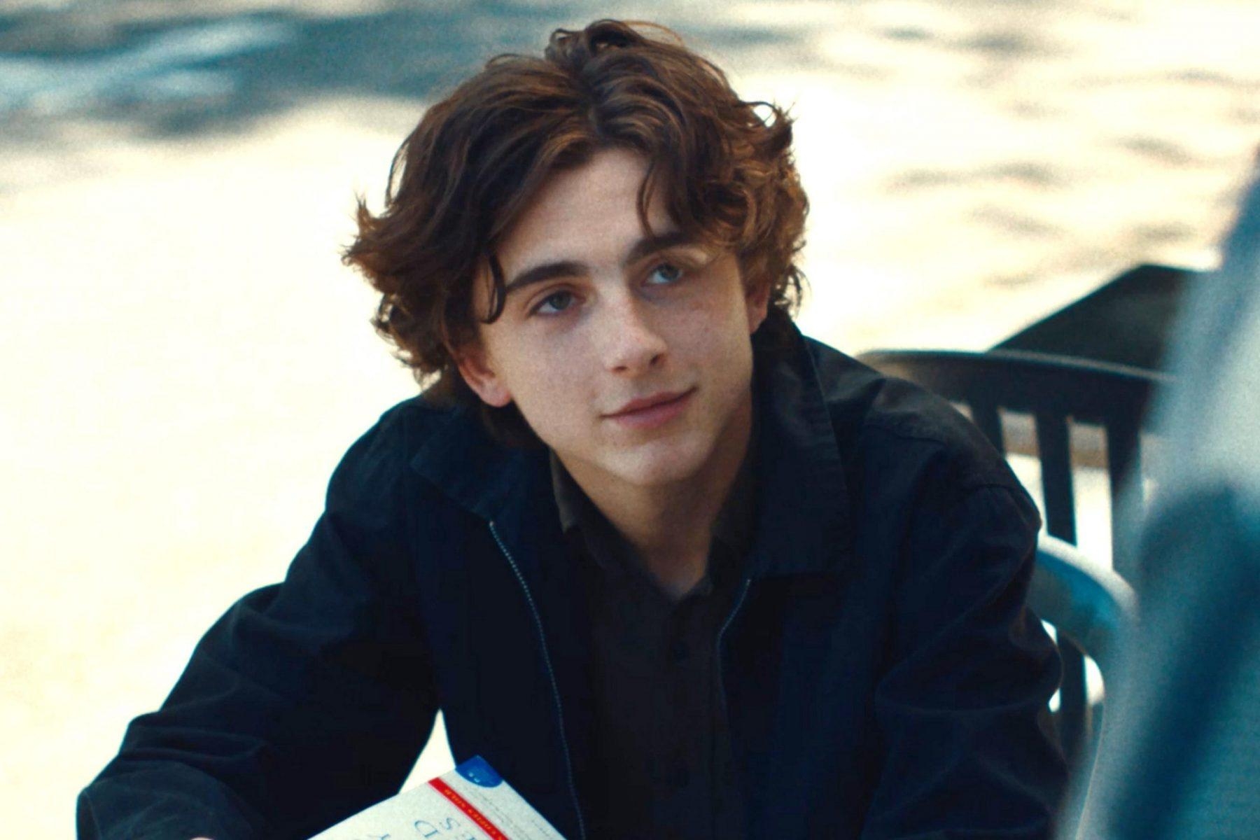 1800x1200 Timothee Chalamet HD Wallpaperwallpaper.net, Desktop