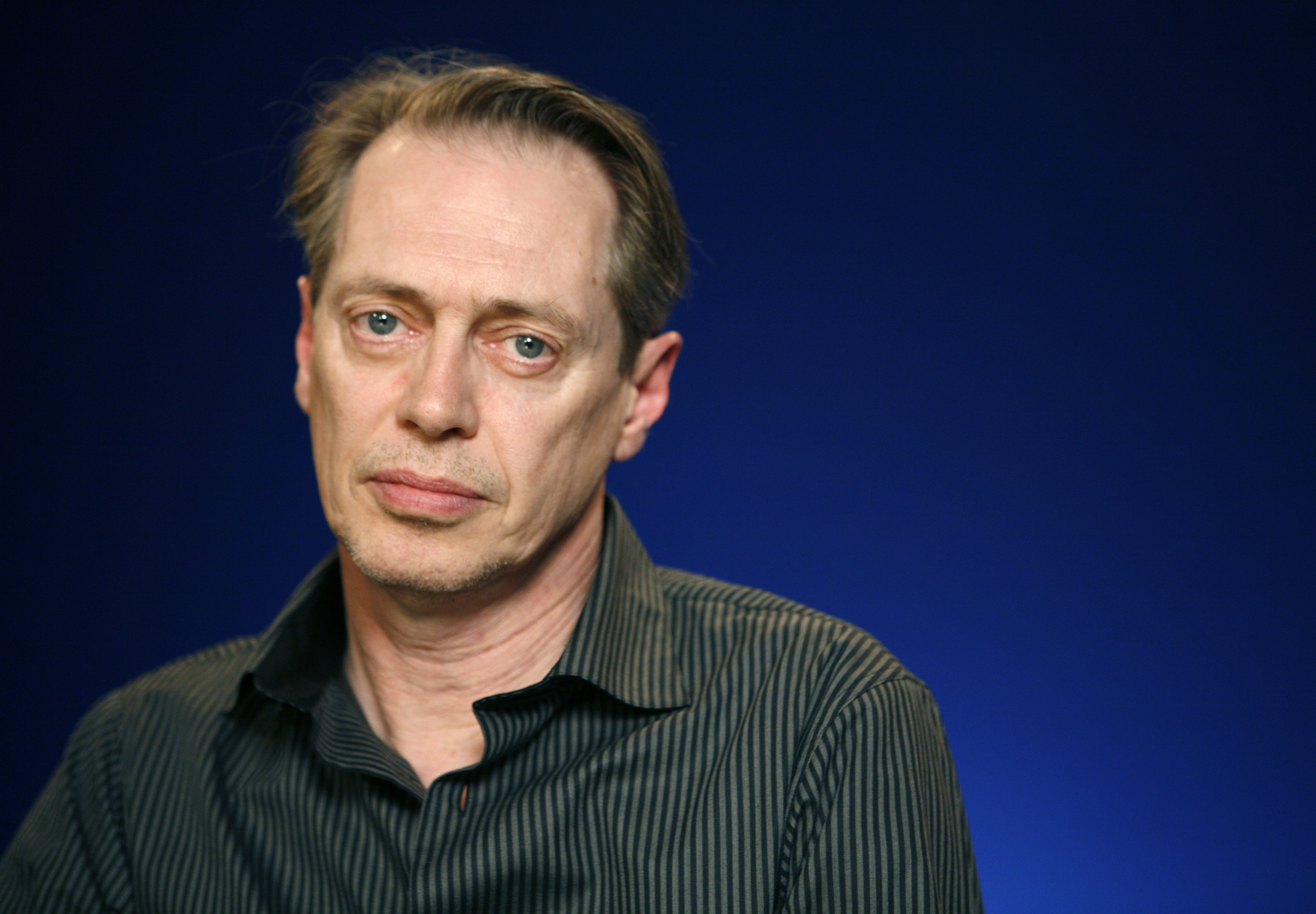 4200x2920 Steve Buscemi HD Wallpaper free, Desktop