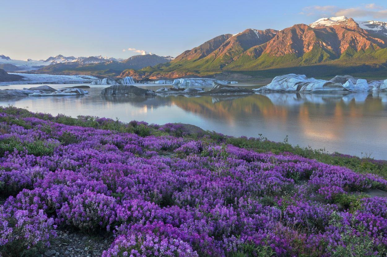 1250x830 Wrangell. Elias National Park Photo. Wrangell St. Elias Photo, Desktop