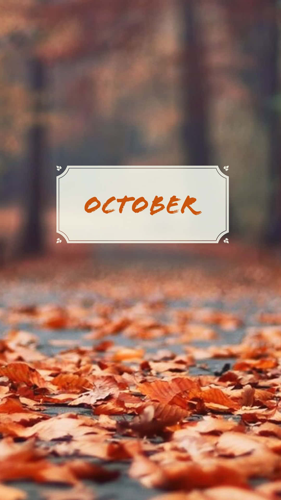 1080x1920 autumn Wallpaper, Phone