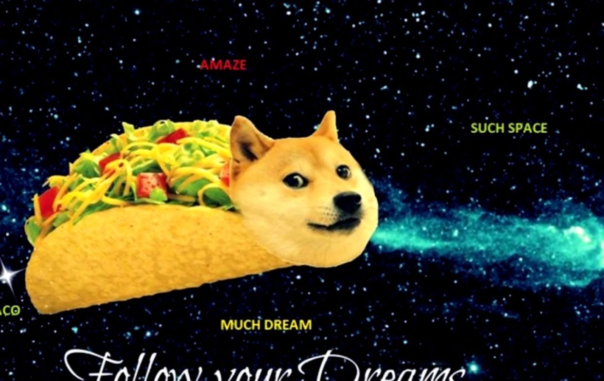 1250x790 Doge Meme Wallpaper 1920X1080. Wallpaper HD Quality, Desktop