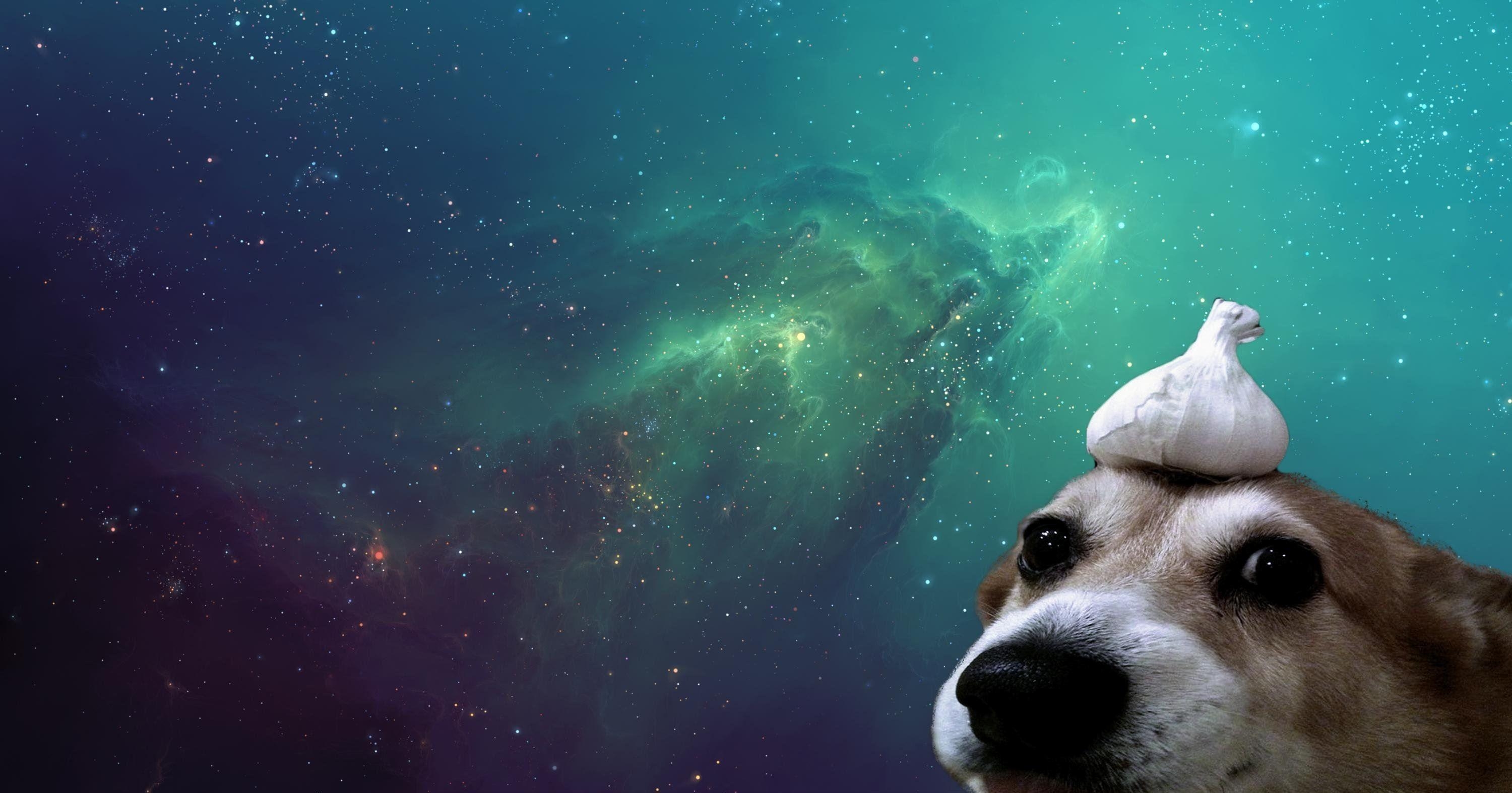 3000x1580 Dog Galaxy Wallpaper Free Dog Galaxy Background, Desktop