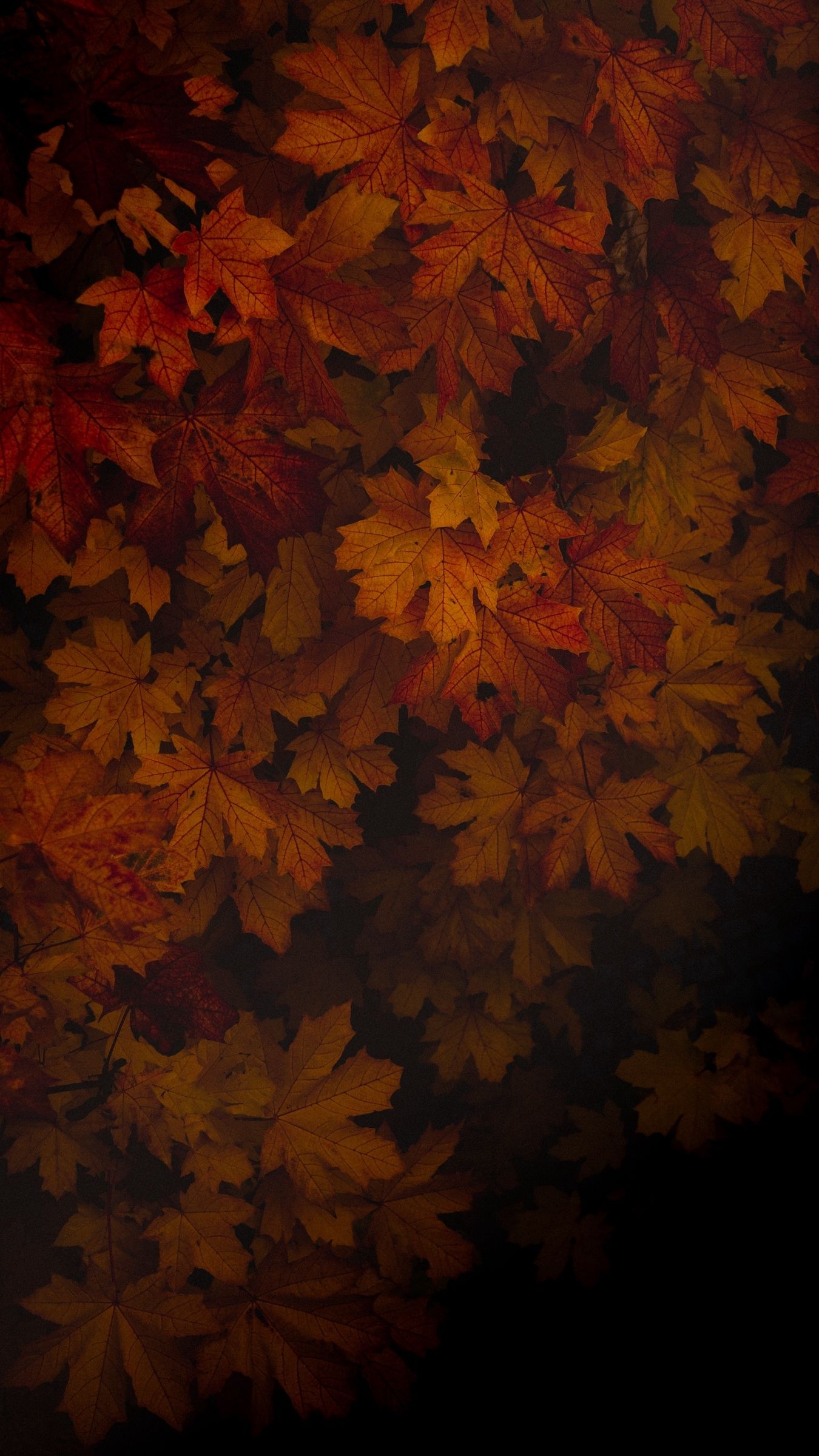 1350x2400 Dark Autumn Wallpaper Free Dark Autumn Background, Phone