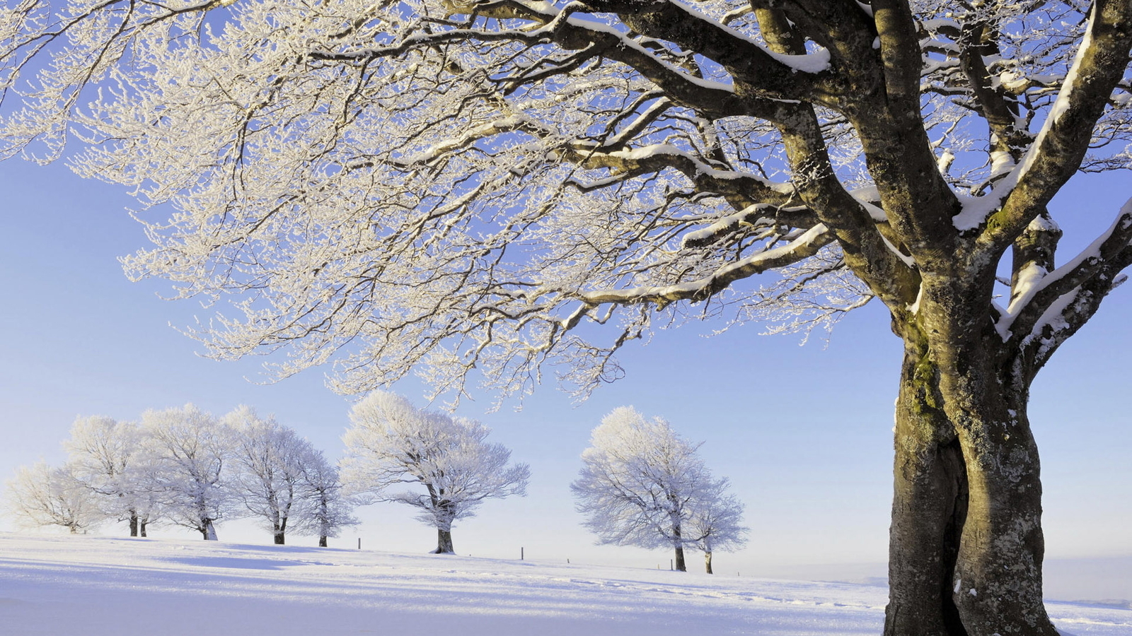 1600x900 Encyclopedia natural aesthetic Snow wallpaper 49622, Desktop