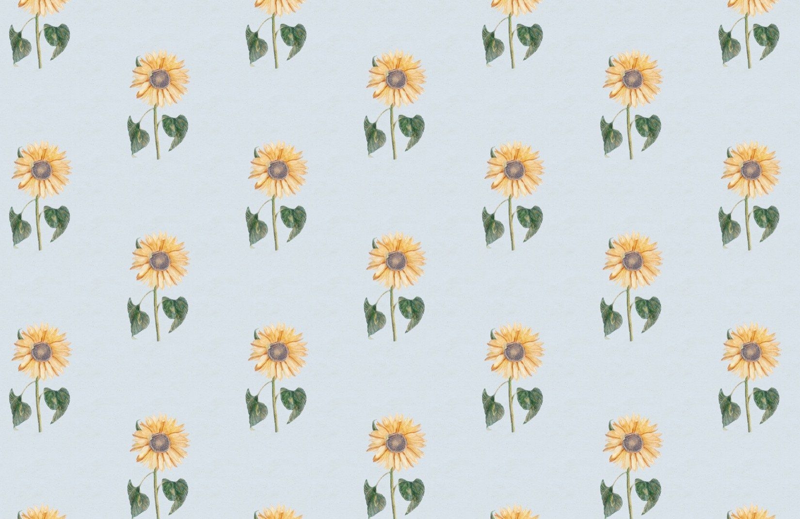 1650x1070 Yellow & Blue Vintage Sunflower Wallpaper Mural, Desktop