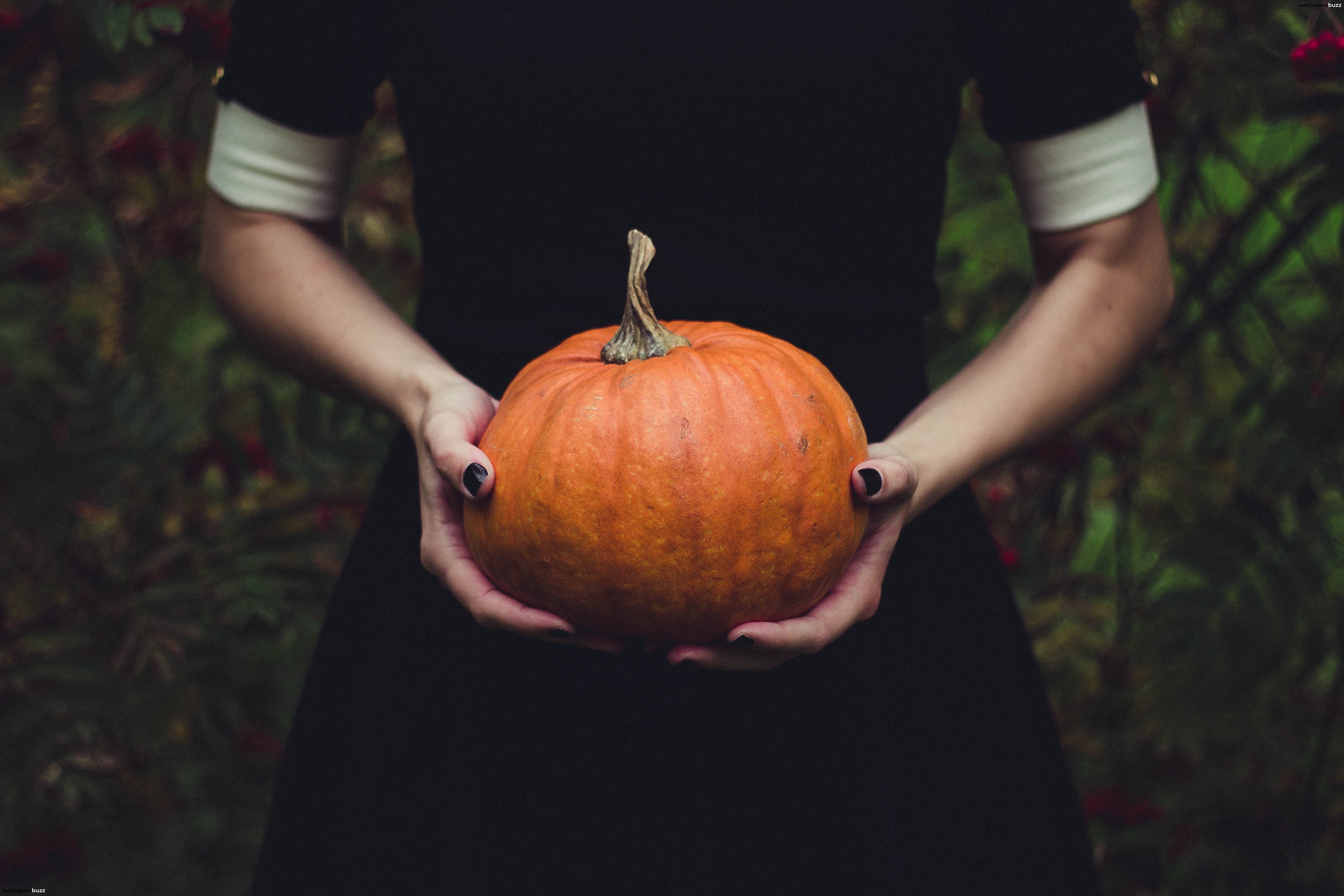 5190x3460 A girl with a pumpkin HD Wallpaper, Desktop