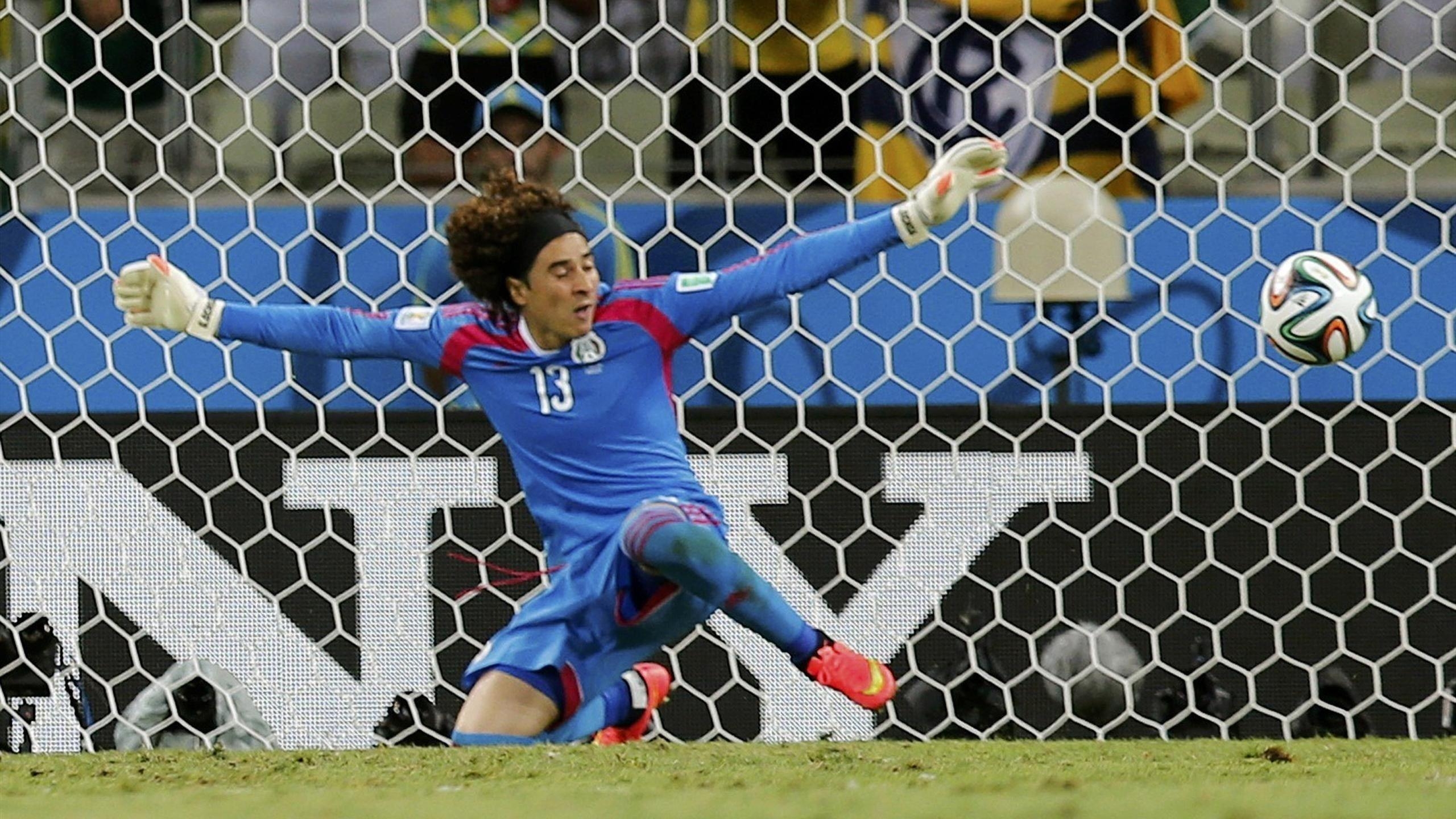 2560x1440 Ochoa Wallpaper HD, Desktop