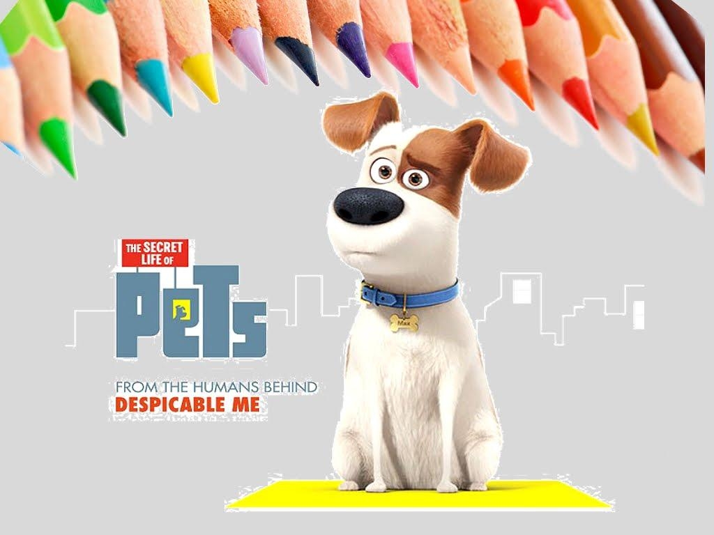 1030x770 The Secret Life of Pets - (HD), Desktop