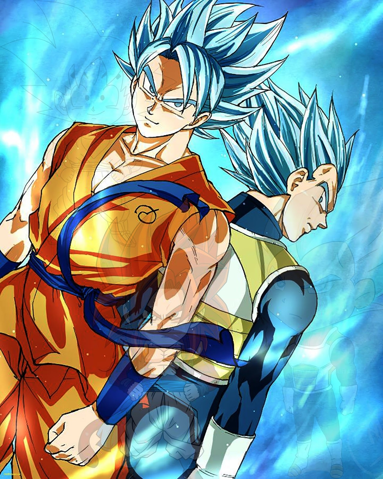 1280x1600 Goku And Vegeta Wallpaper, Phone