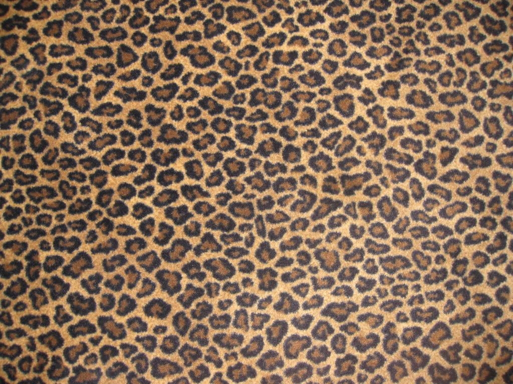 1030x770 Leopard Print Wallpaper for Desktop, Desktop