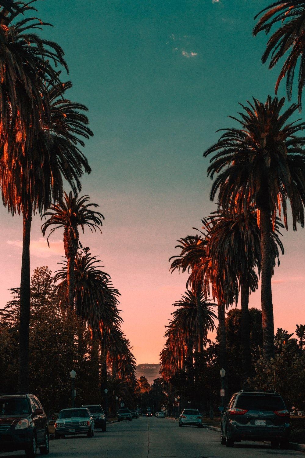 1000x1500 Beautiful Los Angeles Picture. Download Free Image, Phone