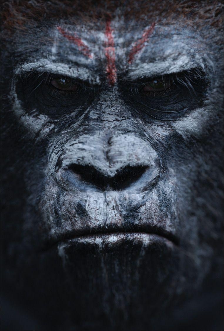 770x1130 Dawn Of The Planet Of The Apes Caesar Toy, Phone