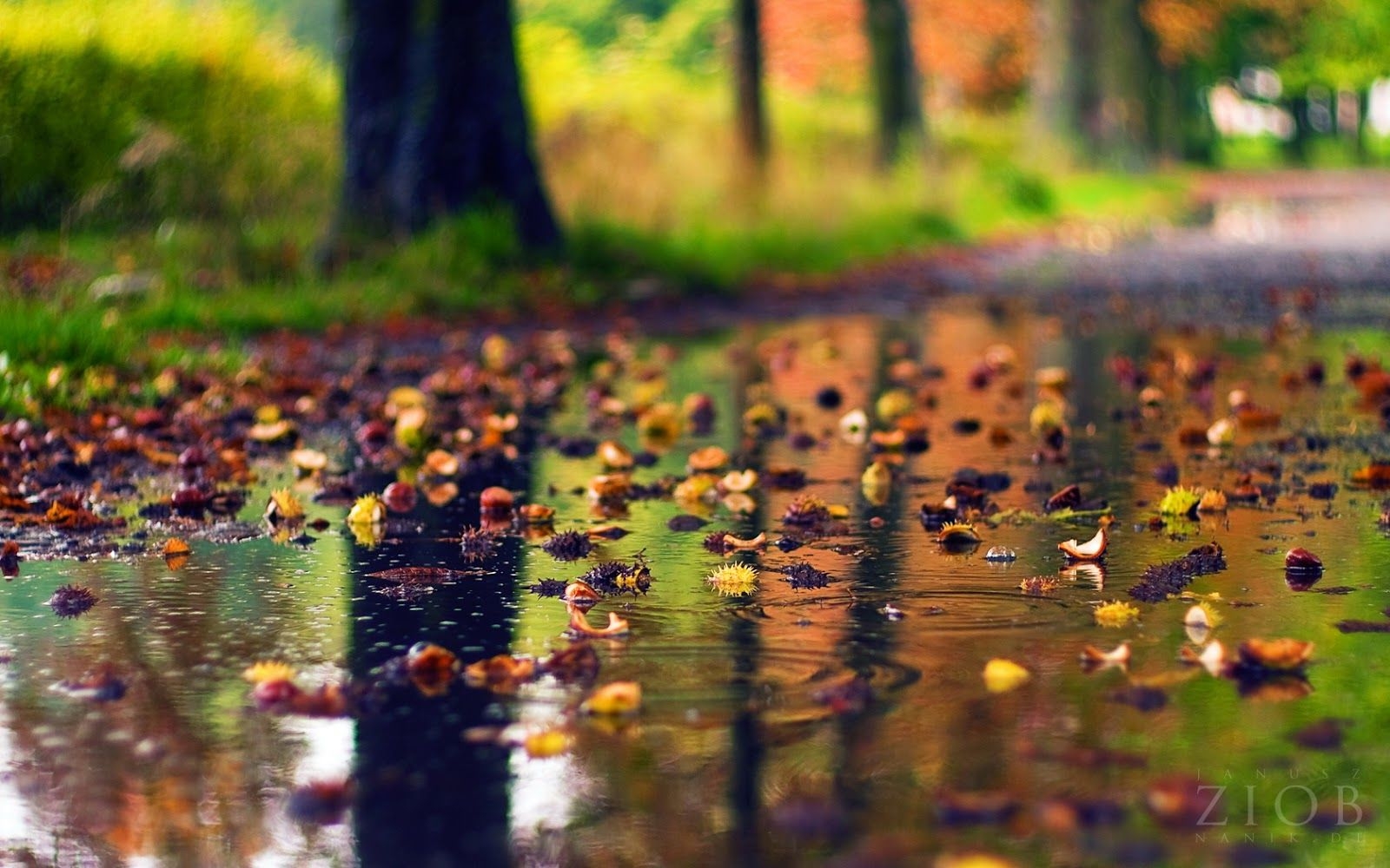 1600x1000 HD Wallpaper For Android Phones Wallpaper Inn. Rain wallpaper, Rainy day wallpaper, Scenery, Desktop