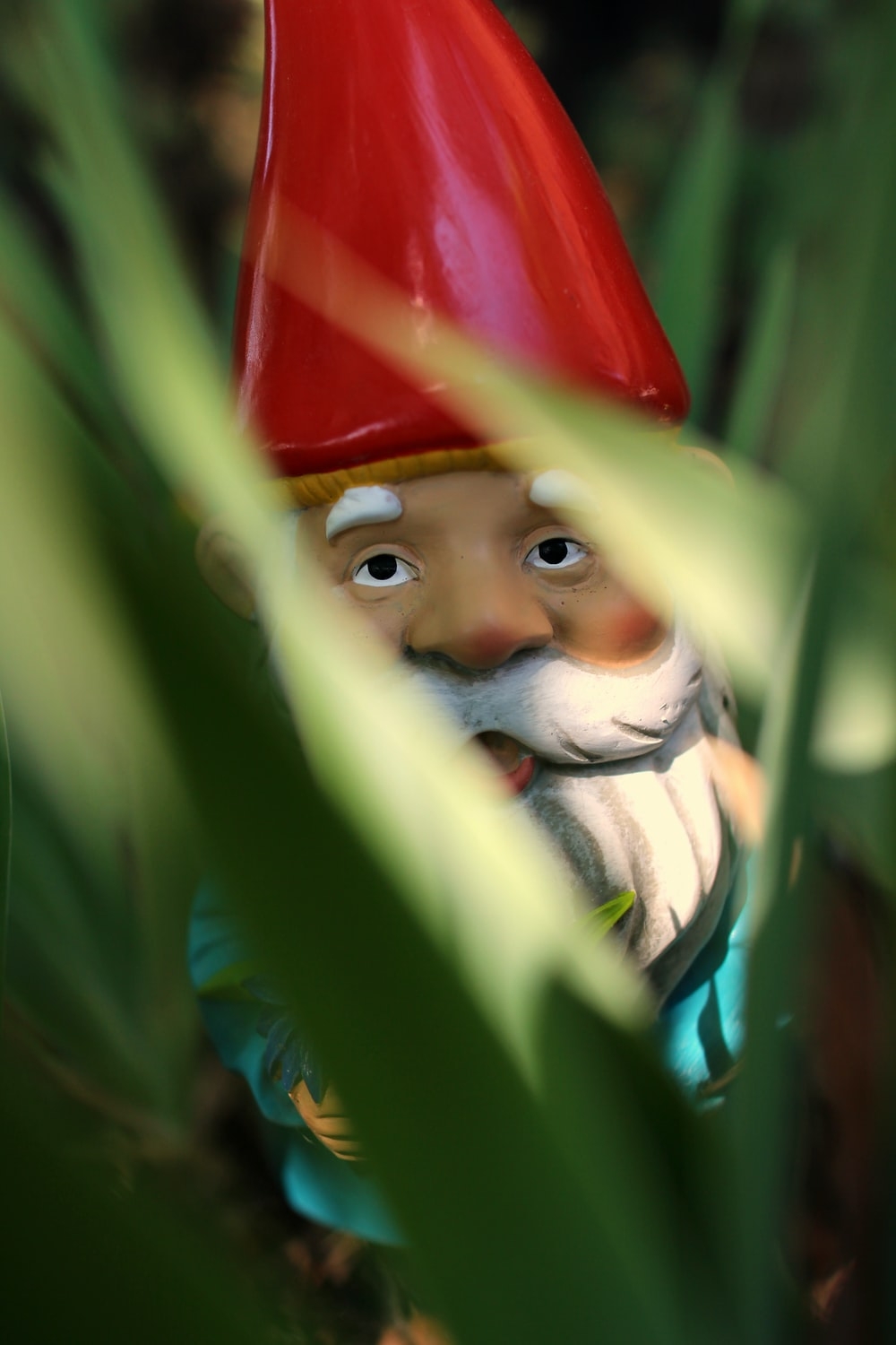 1000x1500 gnome standing on green grass during daytime photo, Phone