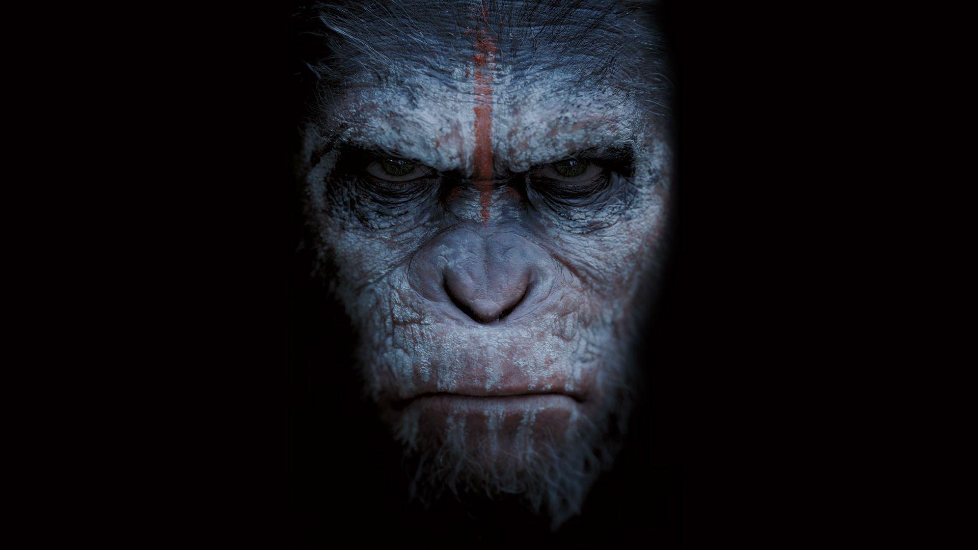 1920x1080 War For The Planet Of The Apes Wallpaper High Quality, Desktop