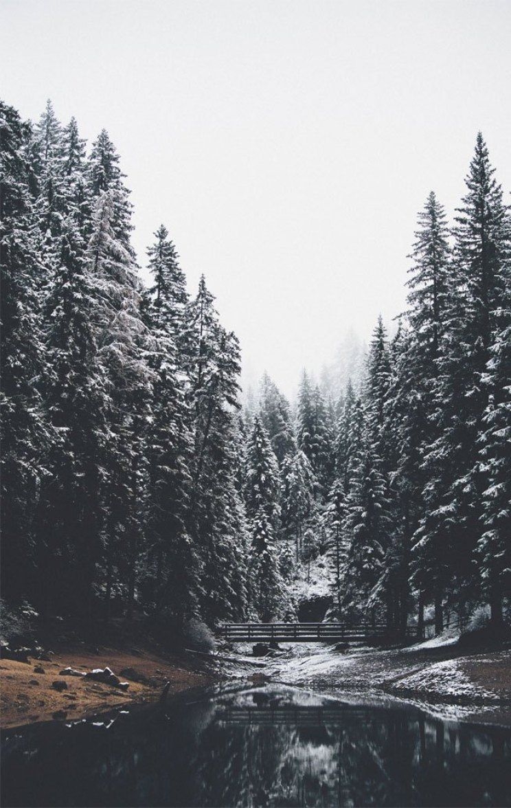 750x1180 Aesthetic Winter iPhone Wallpaper, Phone