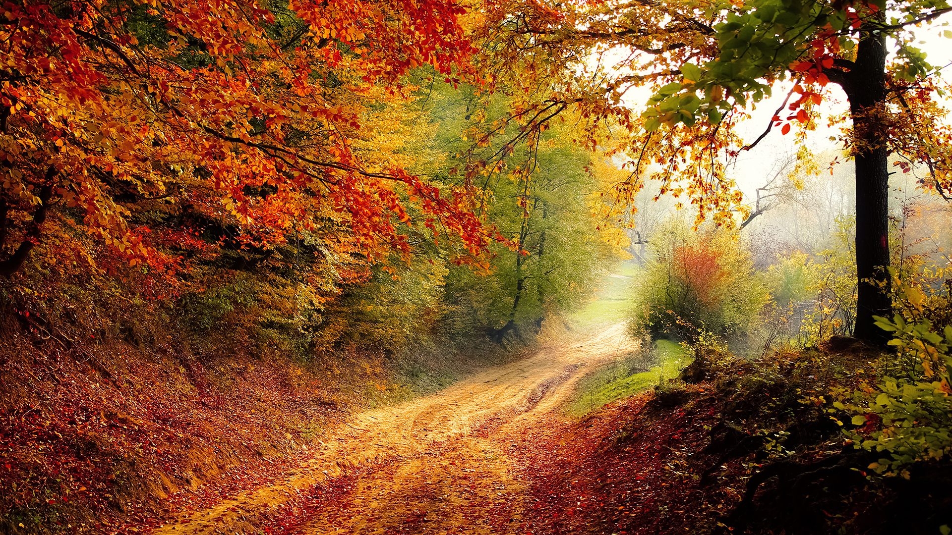 1920x1080 Autumn Road Chromebook Wallpaper, Desktop