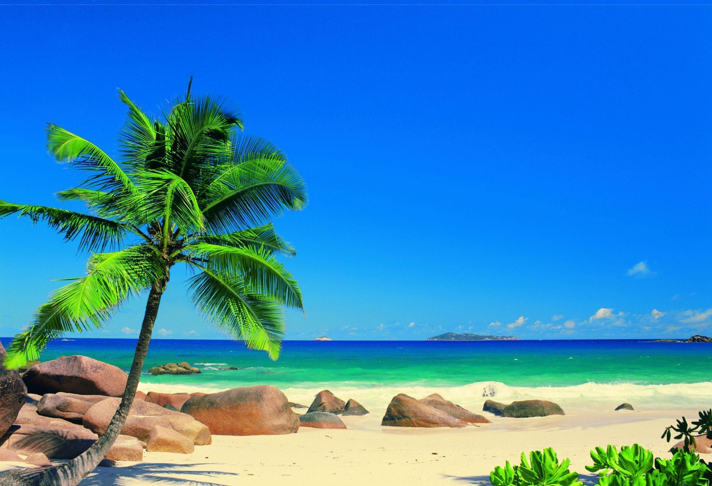 2500x1710 Seychelles by Murals, Wallpaper Direct, Desktop