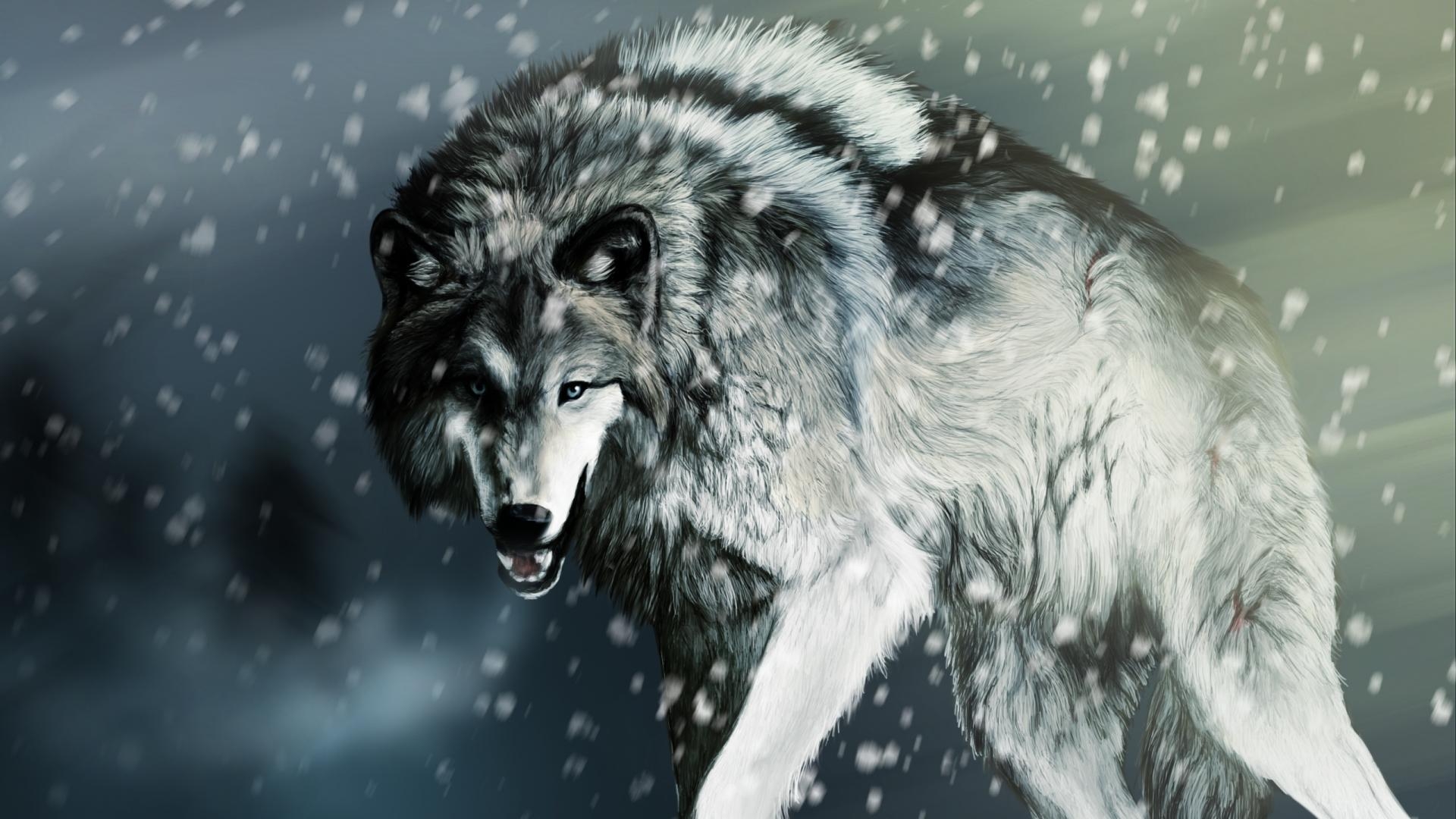 1920x1080 Gray Wolf Wallpaper, FSX52 HDQ Cover Wallpaper For Desktop And Mobile, Desktop