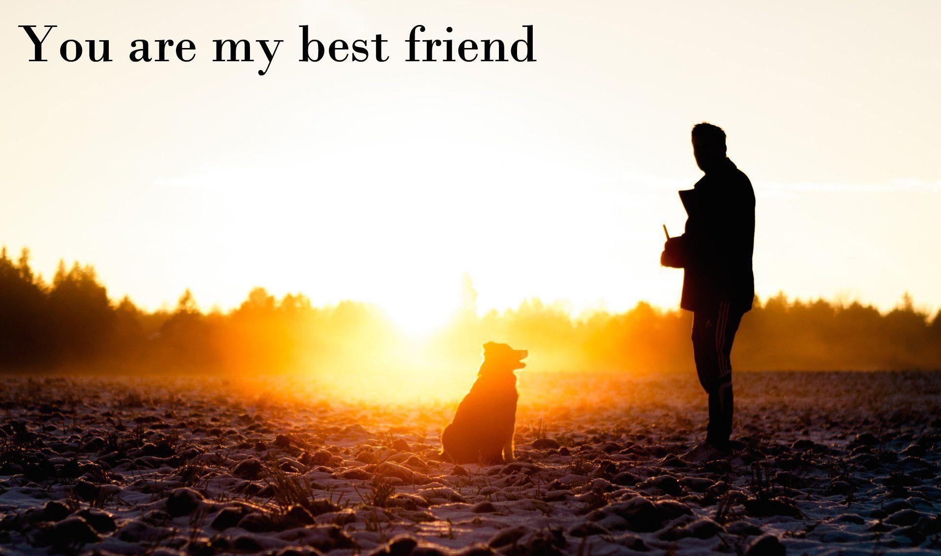 1920x1140 My Best Friend Wallpaper, Desktop