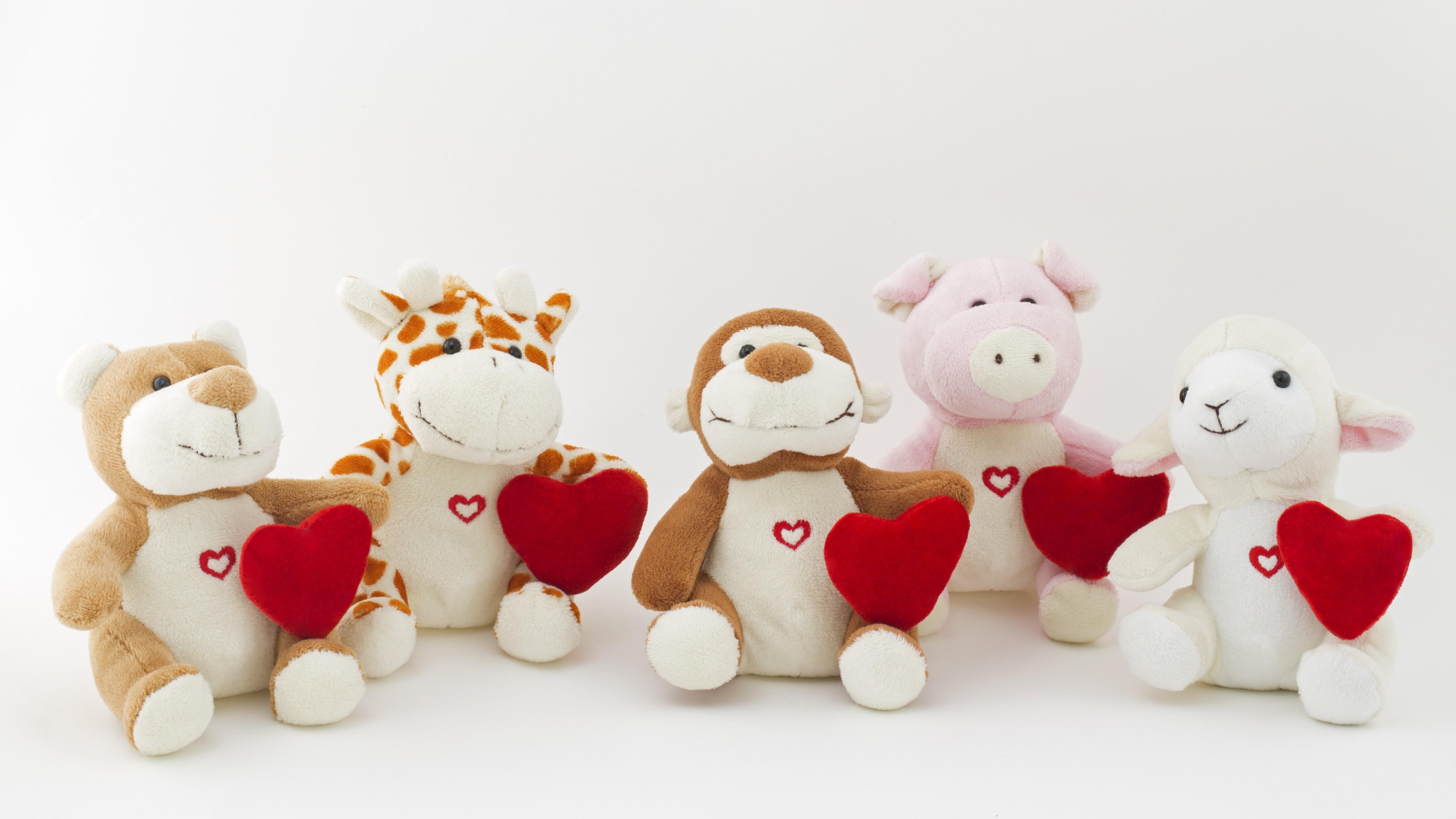 4560x2560 Download  Stuffed Animals, Heart, Toys Wallpaper, Desktop