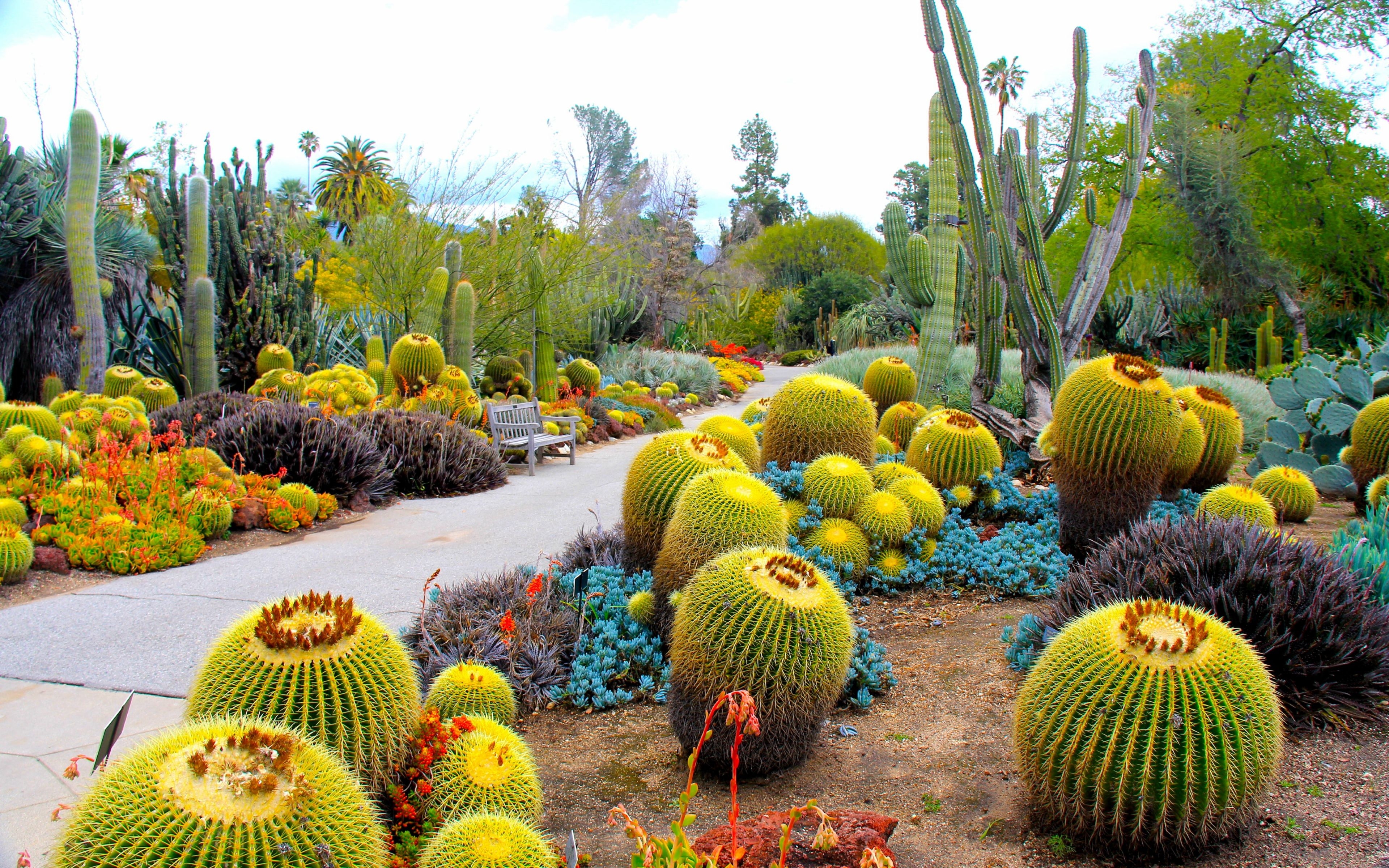 3840x2400 Download Wallpaper  Botanical garden, San marino, Desktop