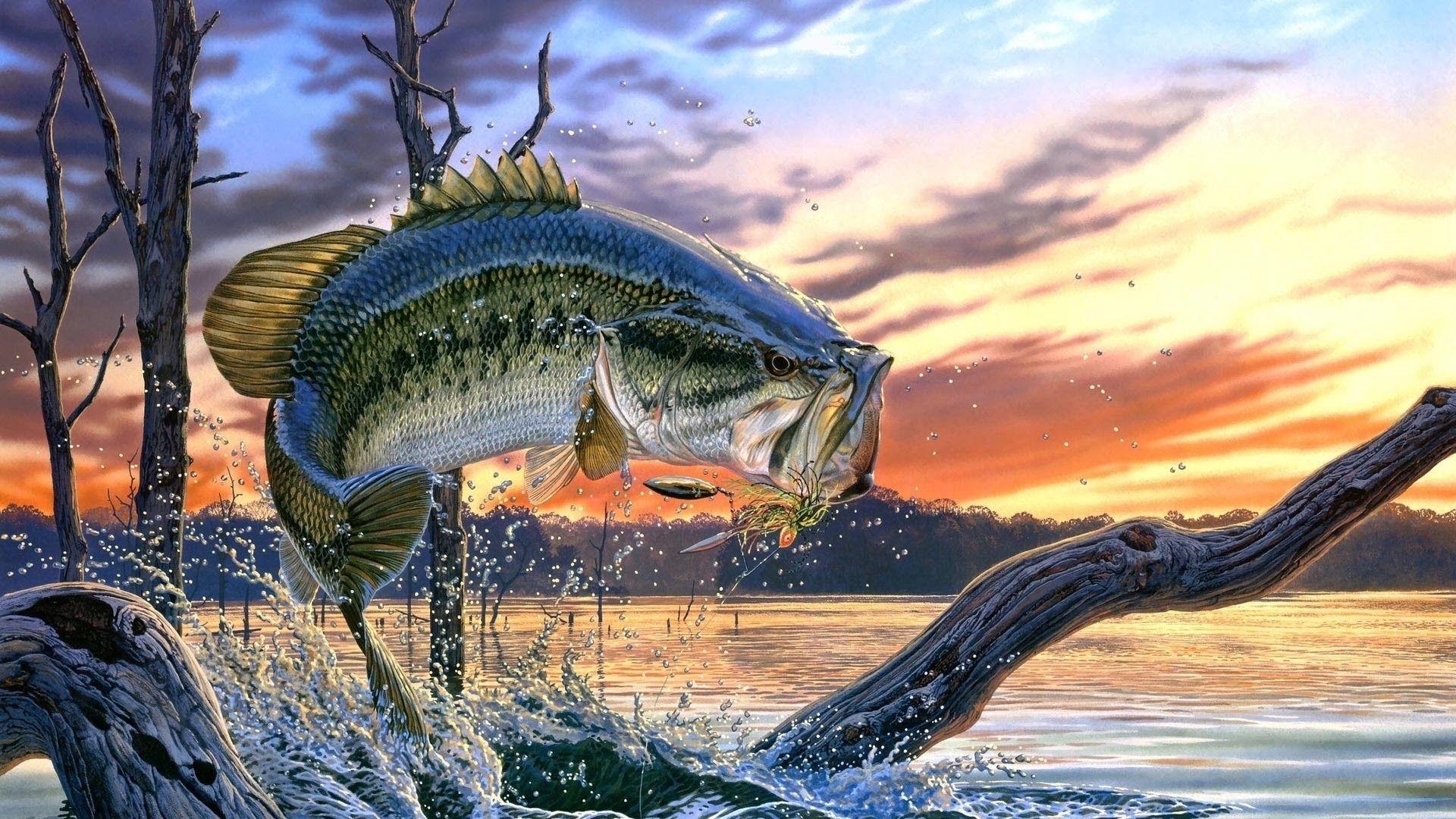 1920x1080 Largemouth Bass Wallpaper for Desktop, Desktop