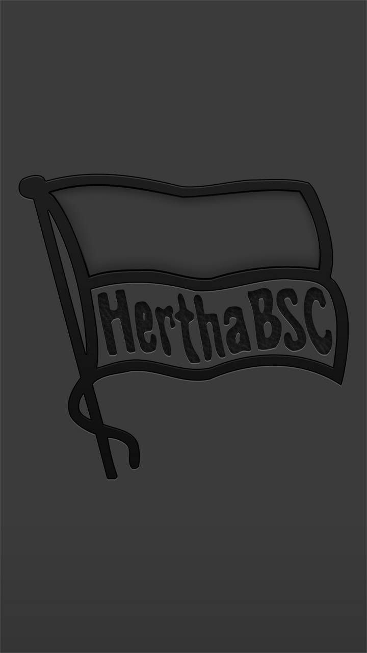 720x1280 Download Hertha BSC Wallpaper by reb0otdesignz now. Browse millions of popular berlin Wallpaper a. Wallpaper, Live wallpaper, Book journal, Phone