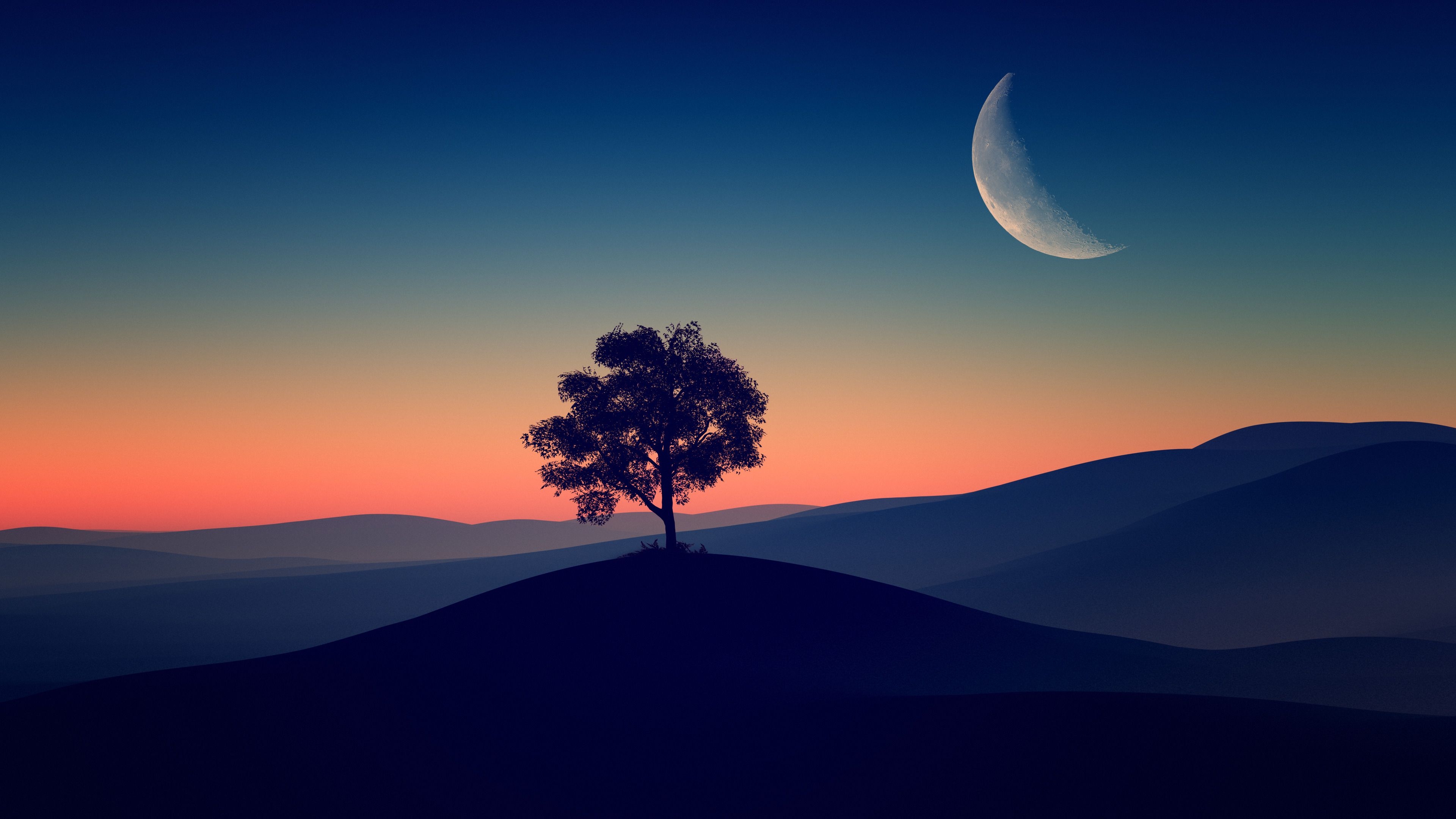 3840x2160 Wallpaper 4k Tree Alone Dark Evening 4k Tree Alone Dark Evening 4k wallpaper, Desktop