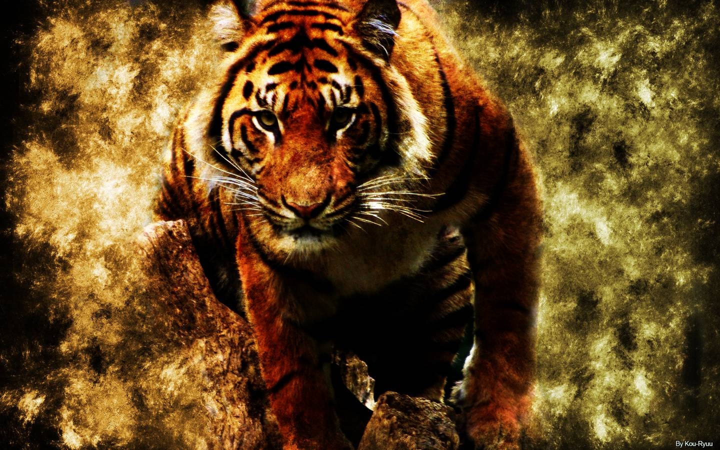 1440x900 Wide HD Tiger Wallpaper, Desktop