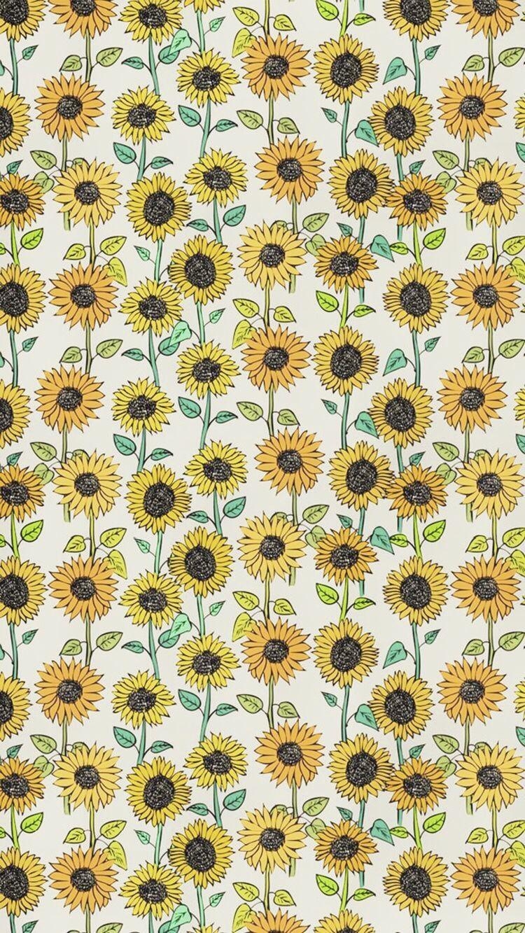 750x1340 iPhone Wallpaper. Sunflower, Flower, Plant, chamomile, sunflower, Phone