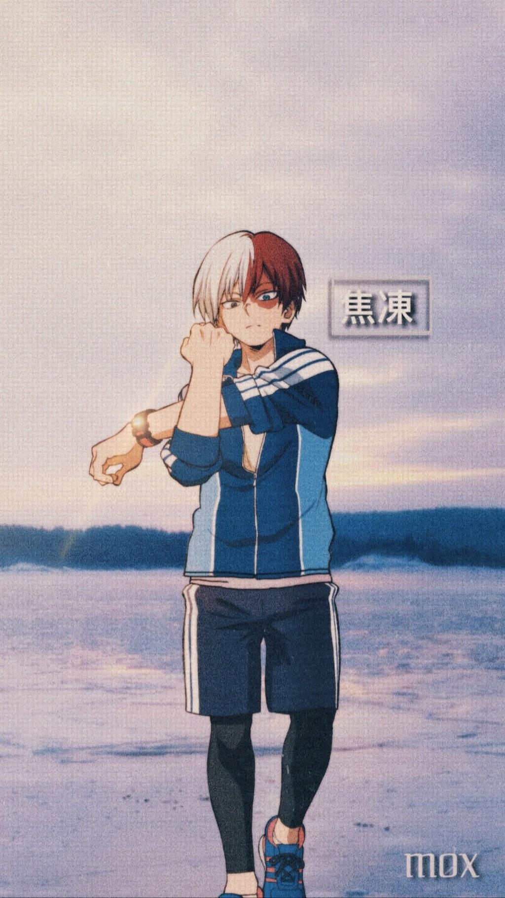 1030x1820 Simple & Clean— Shoto Todoroki wallpaper I just finished, Phone