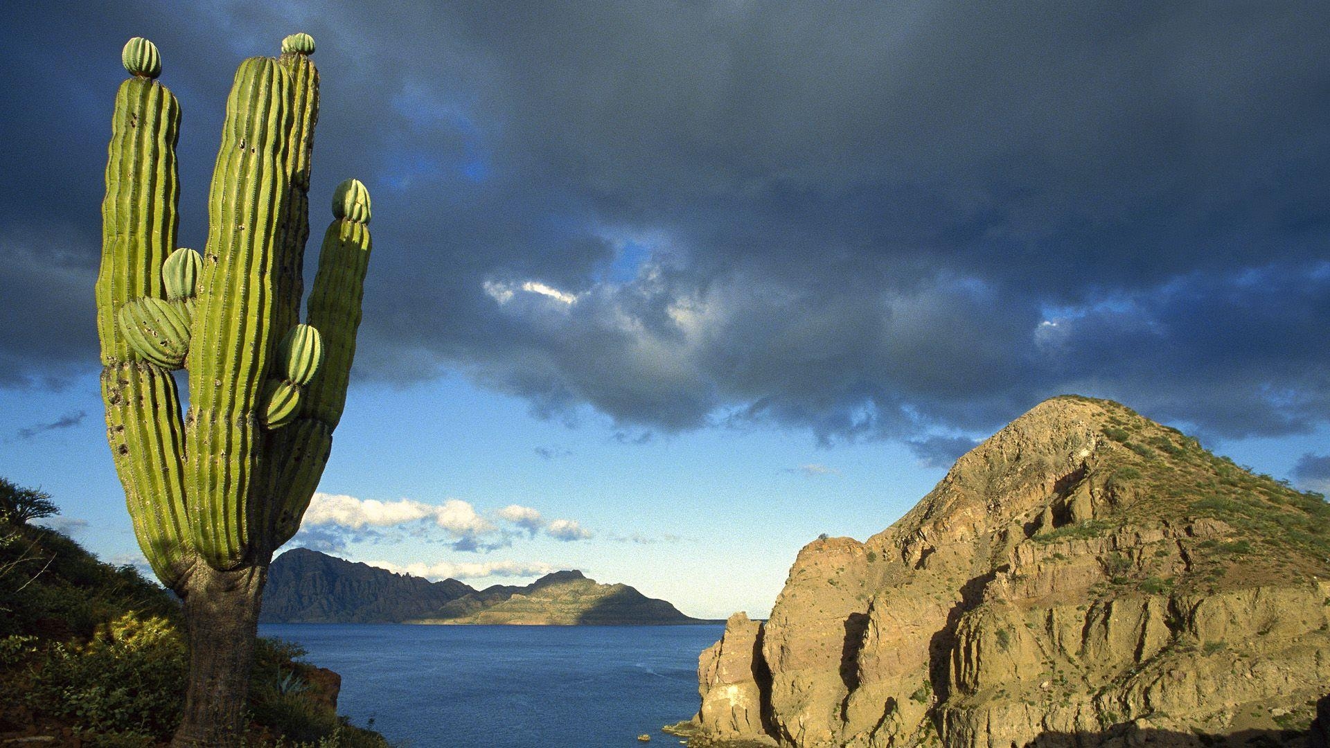 1920x1080 Danzante Island, Sea of Cortez, Baja California, Mexico Full HD, Desktop