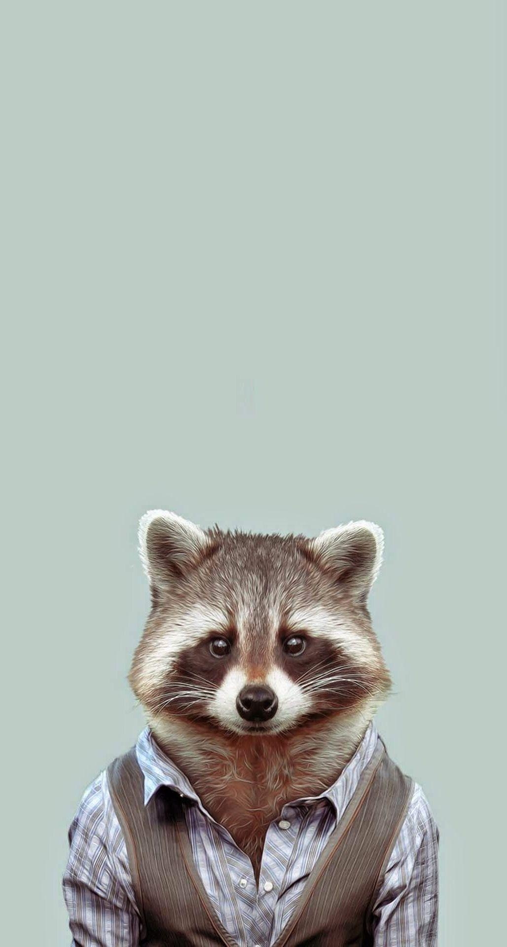 1030x1920 Yago Portal Zoo Portraits Common Raccoon iPhone 6 Plus HD, Phone