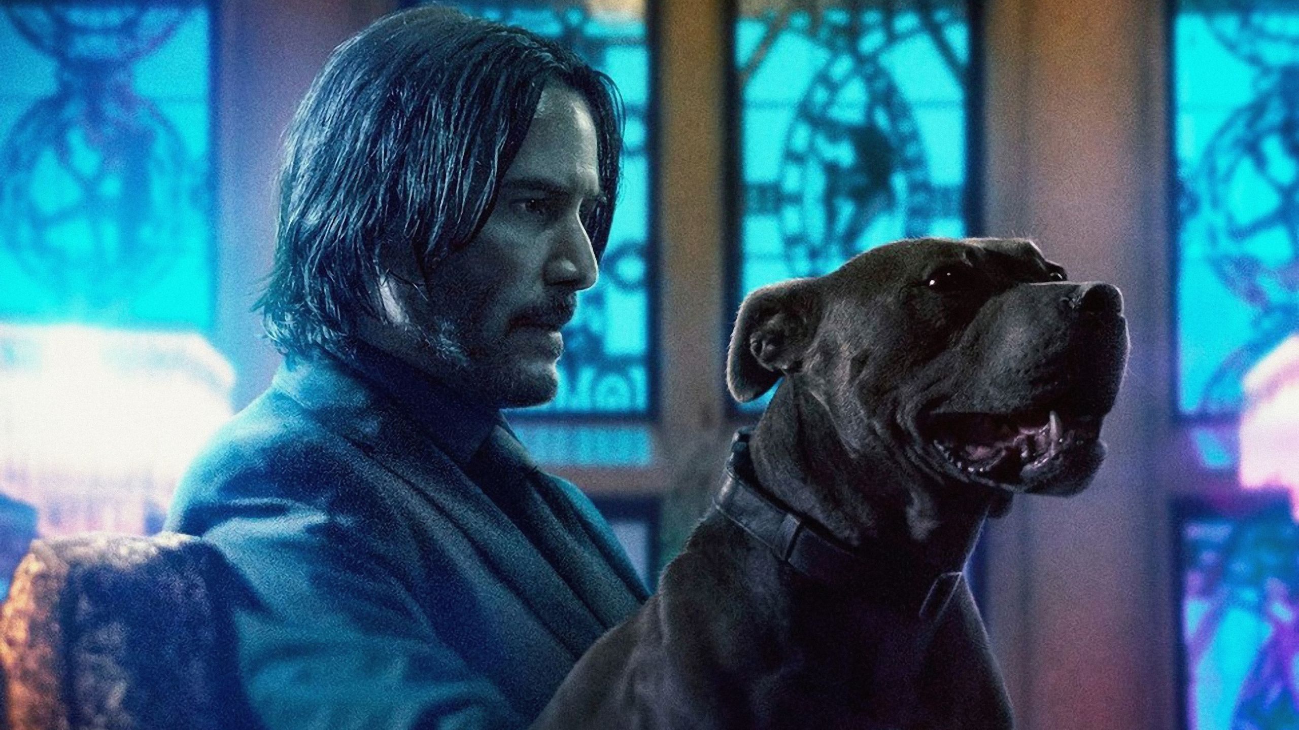 2560x1440 John Wick Chapter 3 1440P Resolution Wallpaper, HD Movies 4K Wallpaper, Image, Photo and Background, Desktop