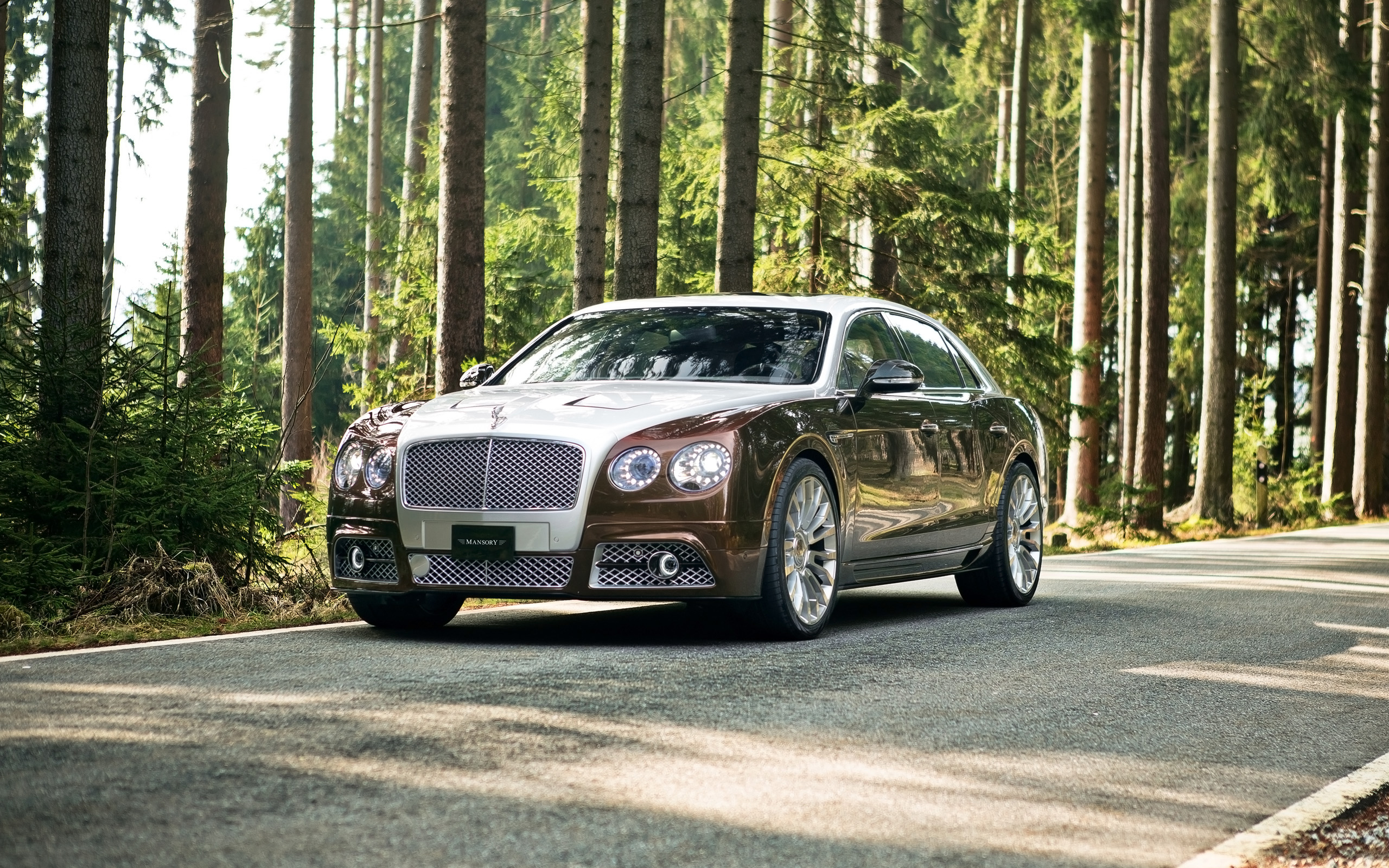 2560x1600 Bentley Mansory Flying Spur HD Car wallpaper latest, Desktop