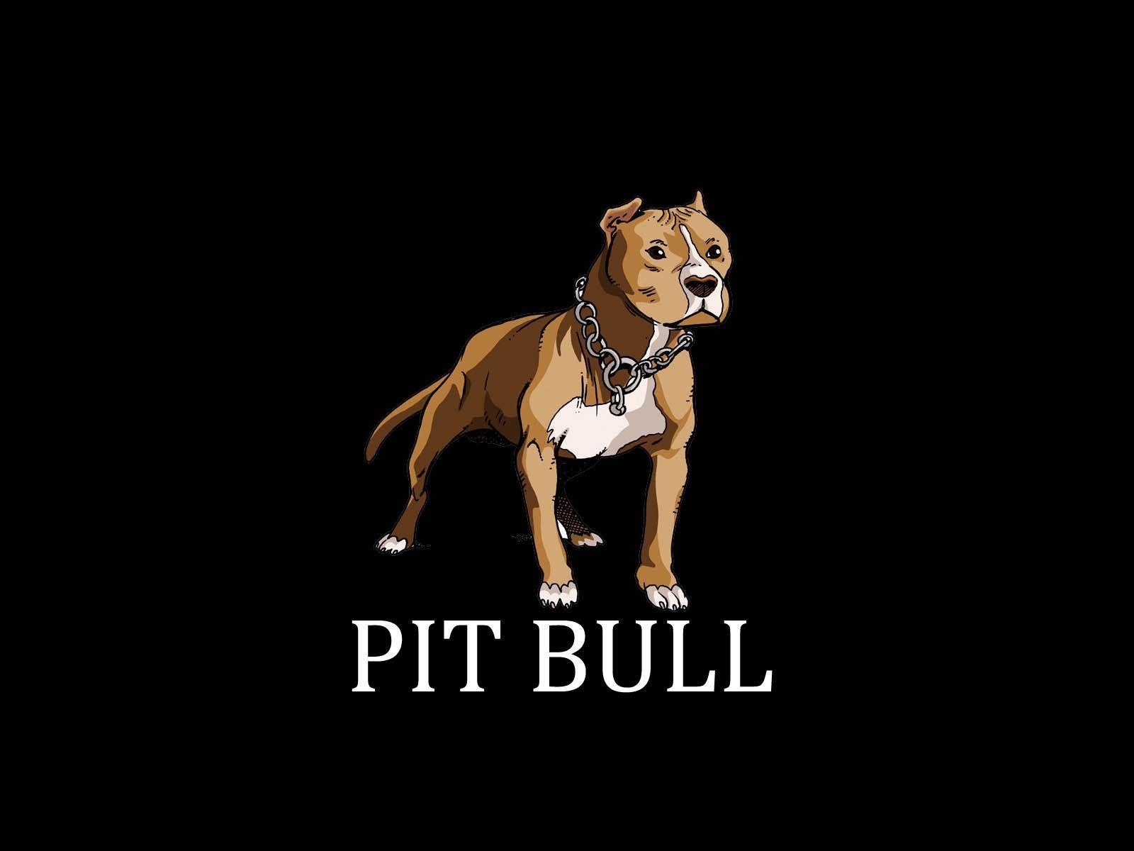 1600x1200 Painted pit bull terrier wallpaper, Desktop