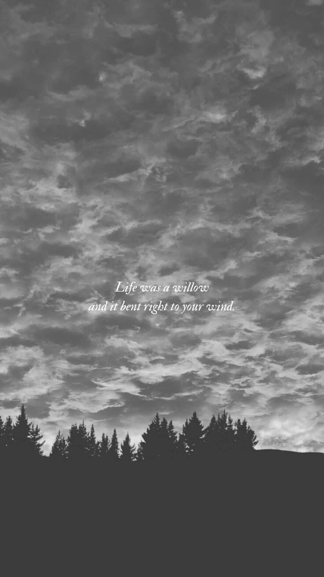 1080x1920 Download Willow Taylor Swift Lyrics Wallpaper, Phone