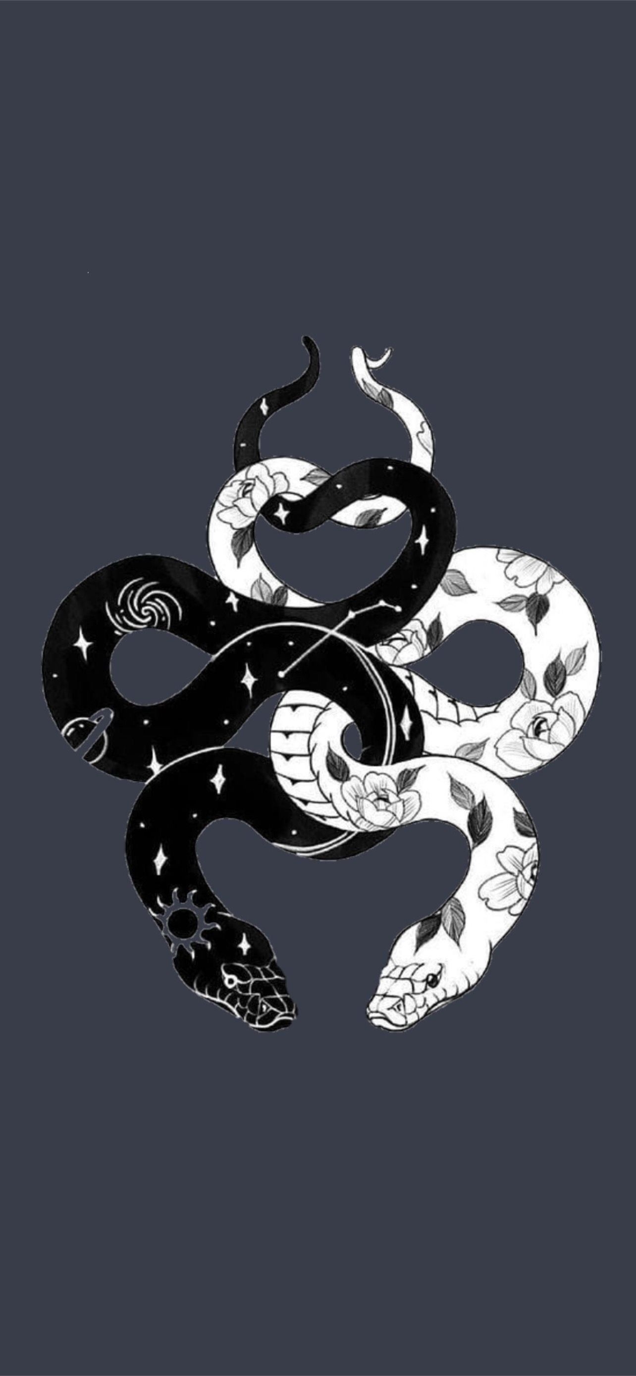 1290x2780 snake iPhone Wallpaper, Phone