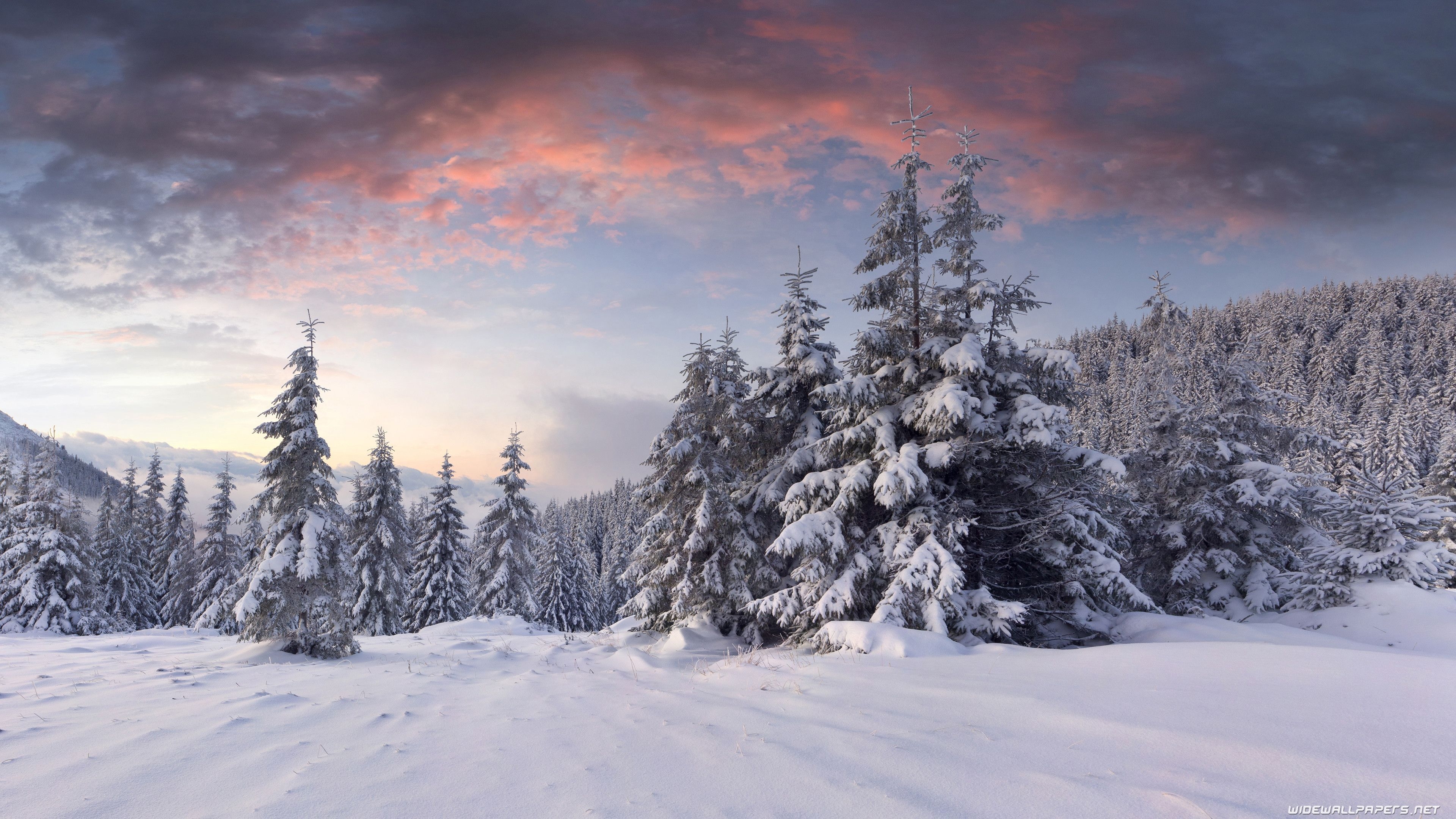 3840x2160 Amazing 4K Winter Wallpaper Free Amazing 4K Winter Background, Desktop