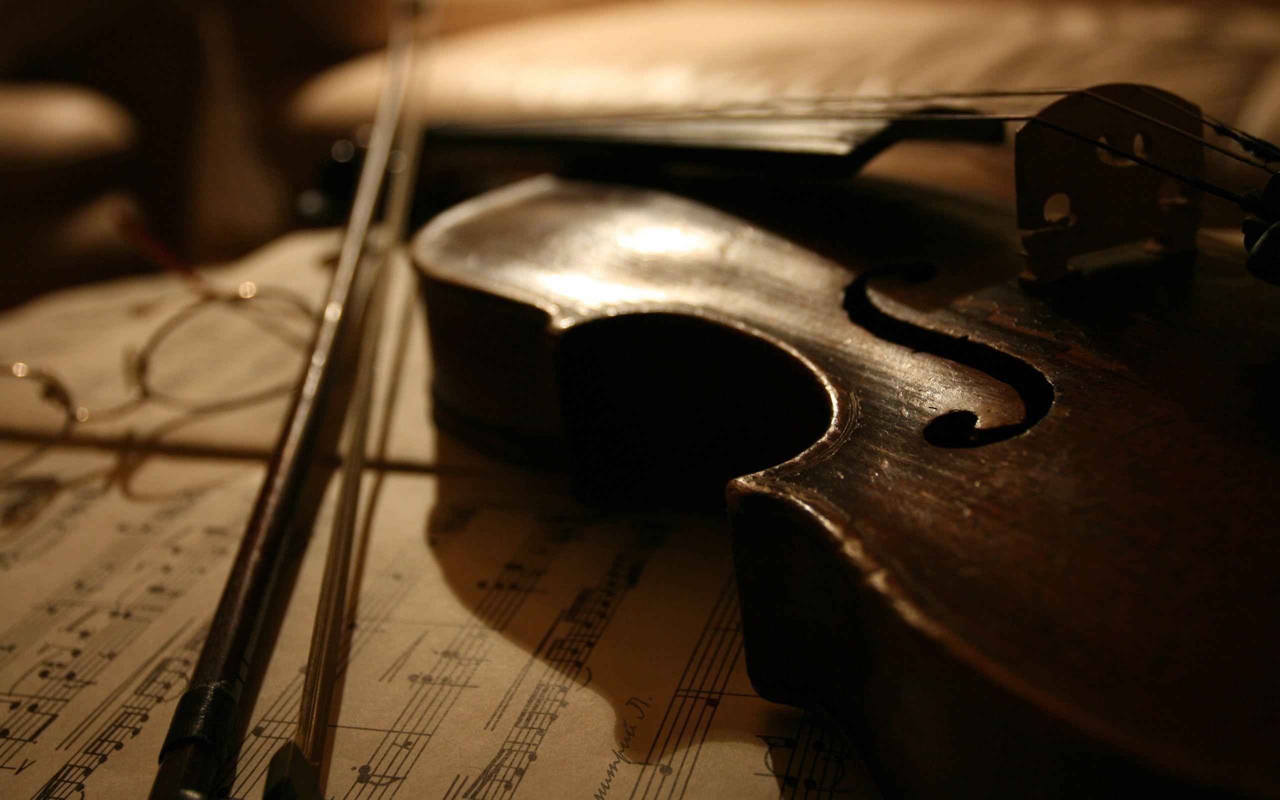 2560x1600 Viola Wallpaper, Collection of Viola Background, Viola High, Desktop