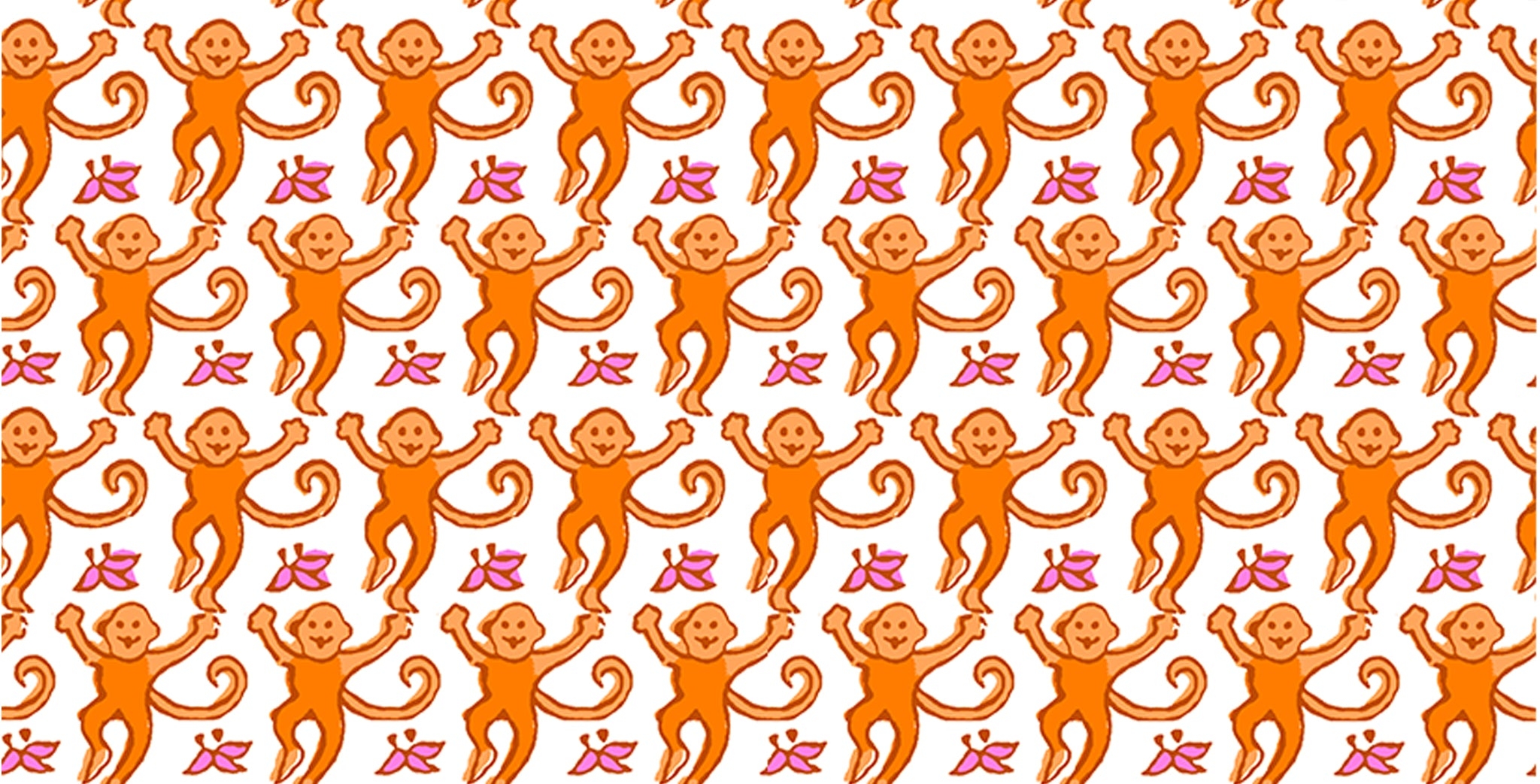 2050x1050 Orange Monkey, Desktop