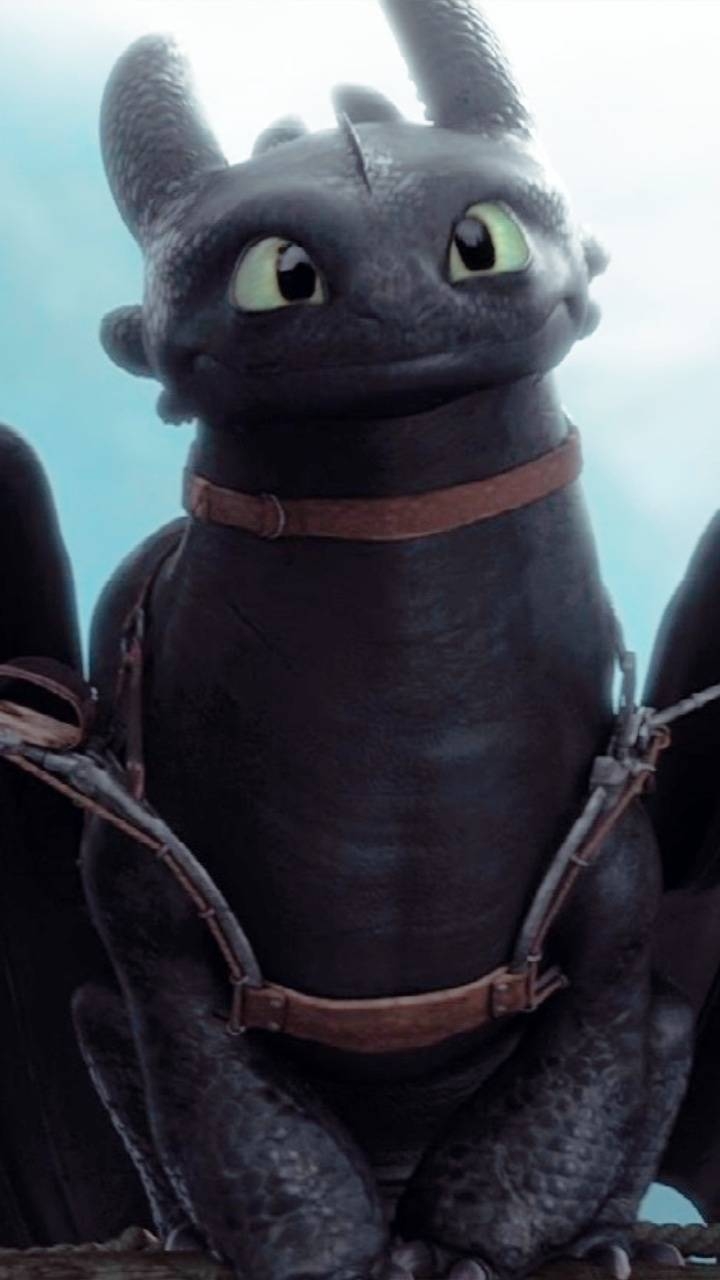 720x1280 Cute Toothless wallpaper, Phone