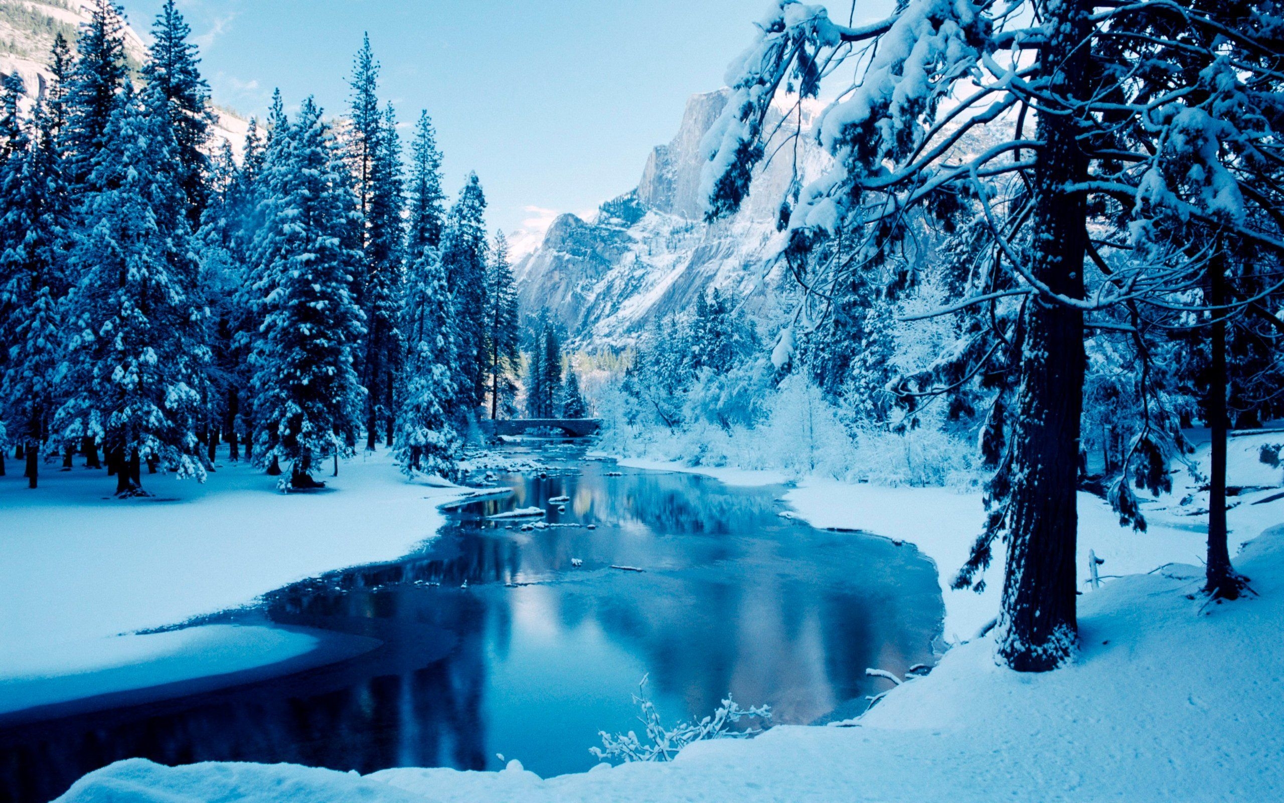 2560x1600 Winter Wallpaper, Desktop