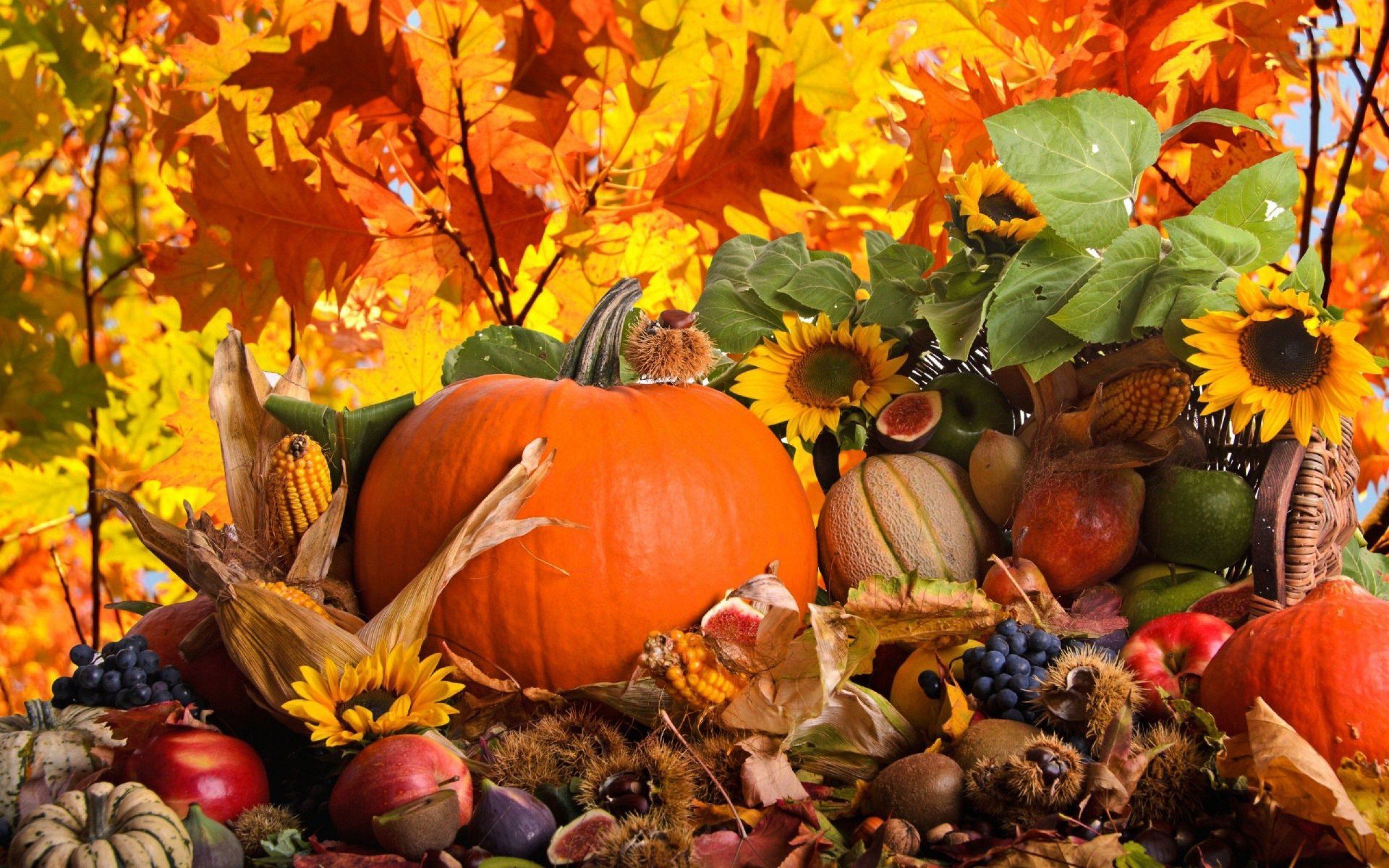 2560x1600 Thanksgiving Gourd Wallpaper Free Thanksgiving Gourd Background, Desktop