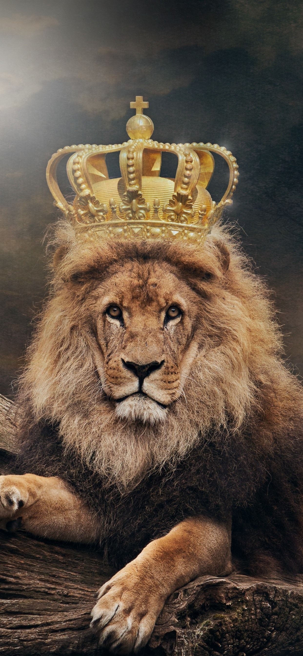 1250x2690 iPhone Wallpaper Lion, King, Crown Wallpaper, Phone