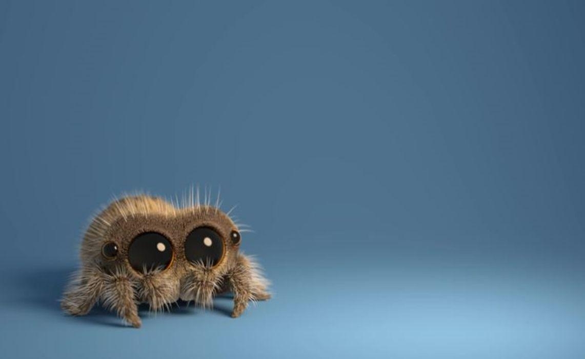 1150x700 Equal Parts Creepy And Cute, 'Lucas The Spider' Is Weaving Viral, Desktop